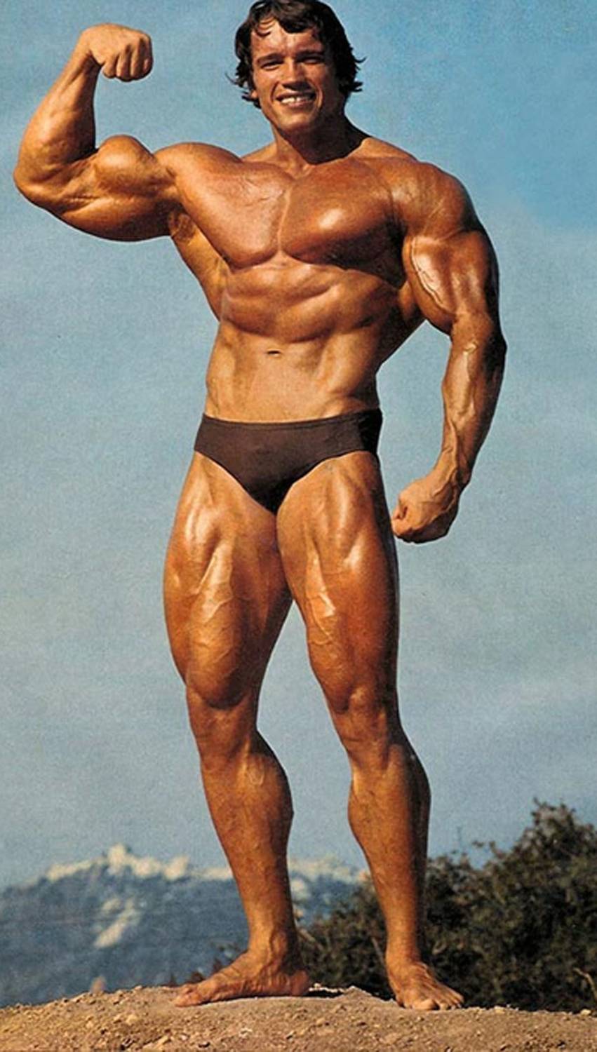 851x1500 arnold schwarzenegger bodybuilding POSTER HD Wallpaper Background Fine Art Paper Fine Art Print