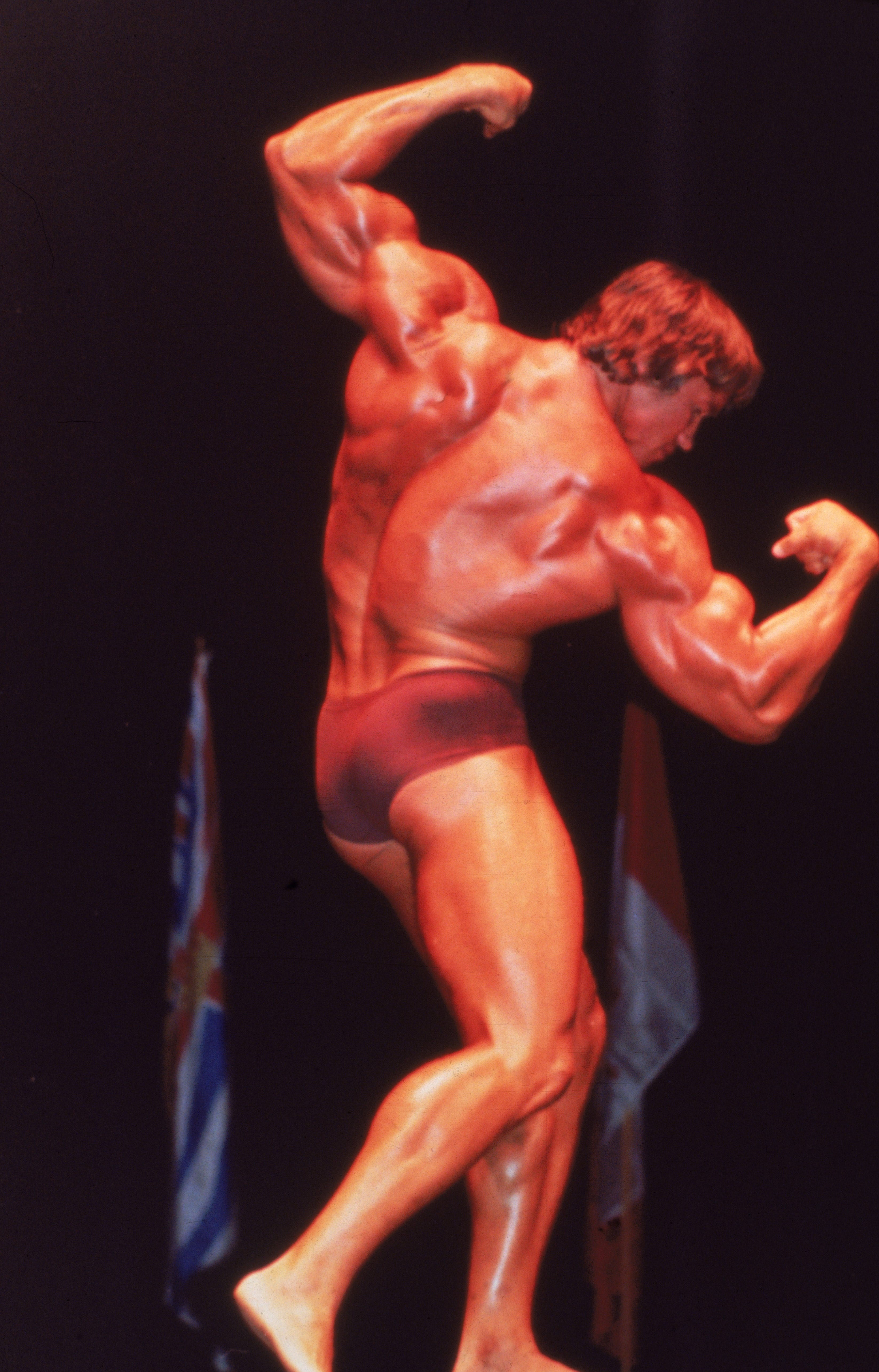 3293x5140 Young Arnold Schwarzenegger Photo Bodybuilder Picture