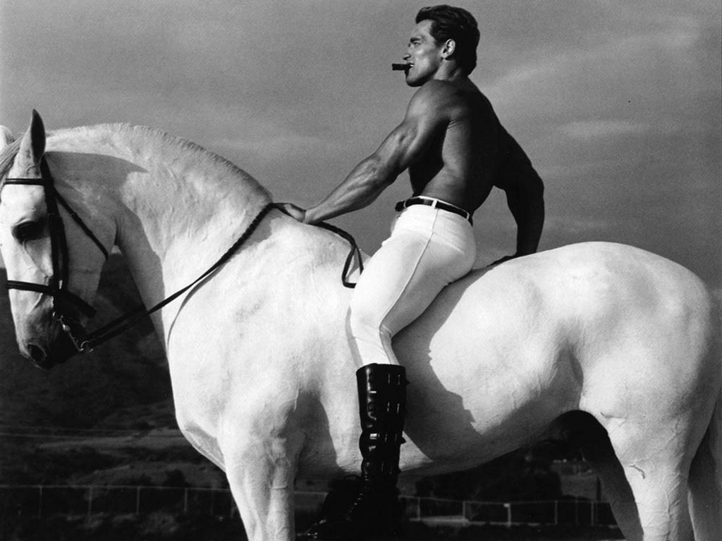 1024x768 Arnold Schwarzenegger MR OLYMPIA horse pose shirtless on horseback 36x44 print