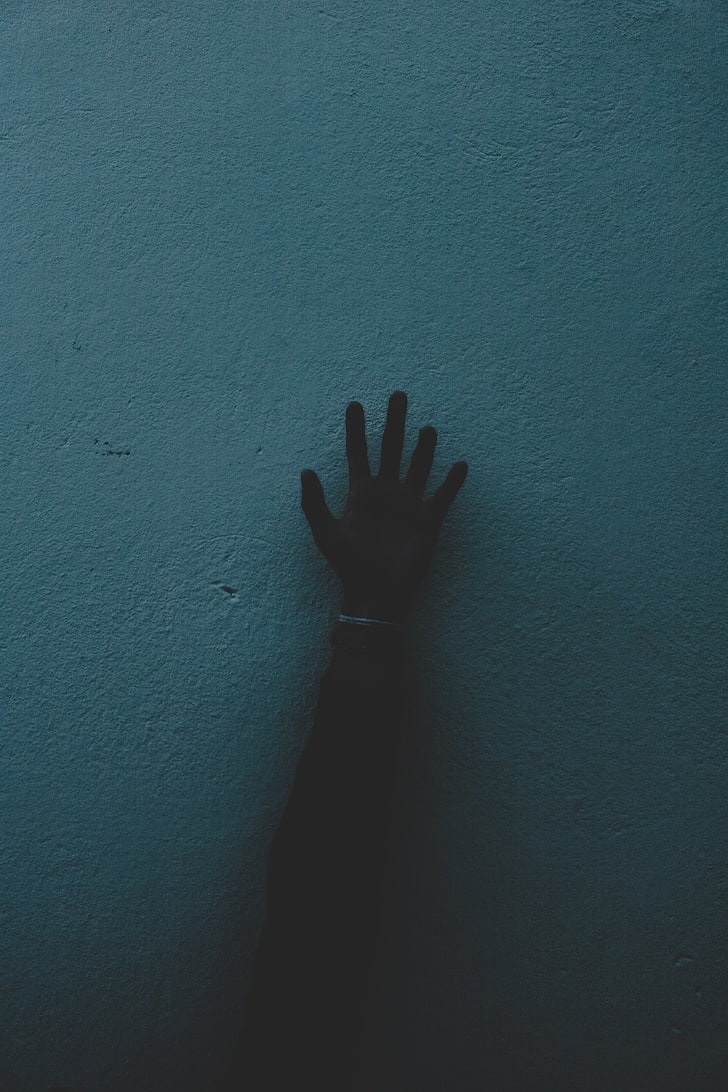 728x1092 HD wallpaper: person's left hand, wall, dark, human Hand, people, horror, fear