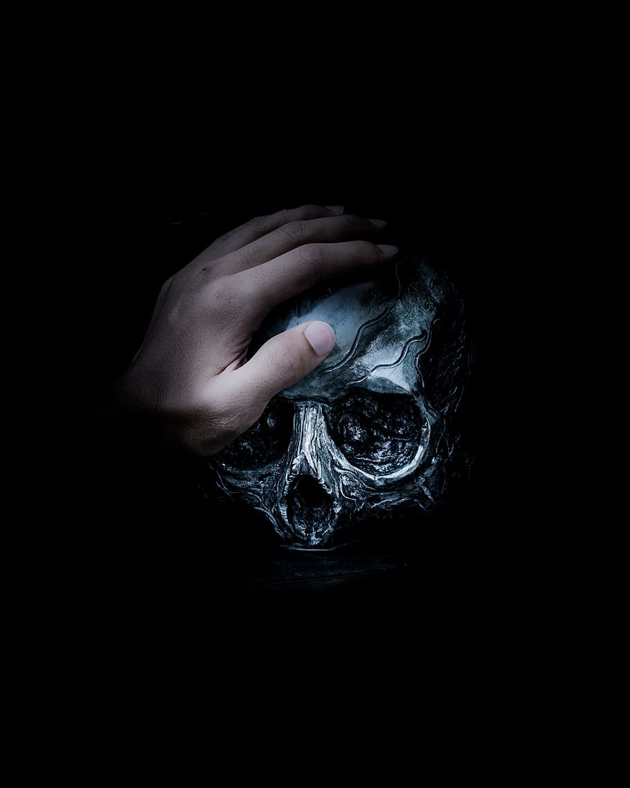 910x1138 1536x864px Free download. person, holding, gray, skull illustration, human, hand, skull, black