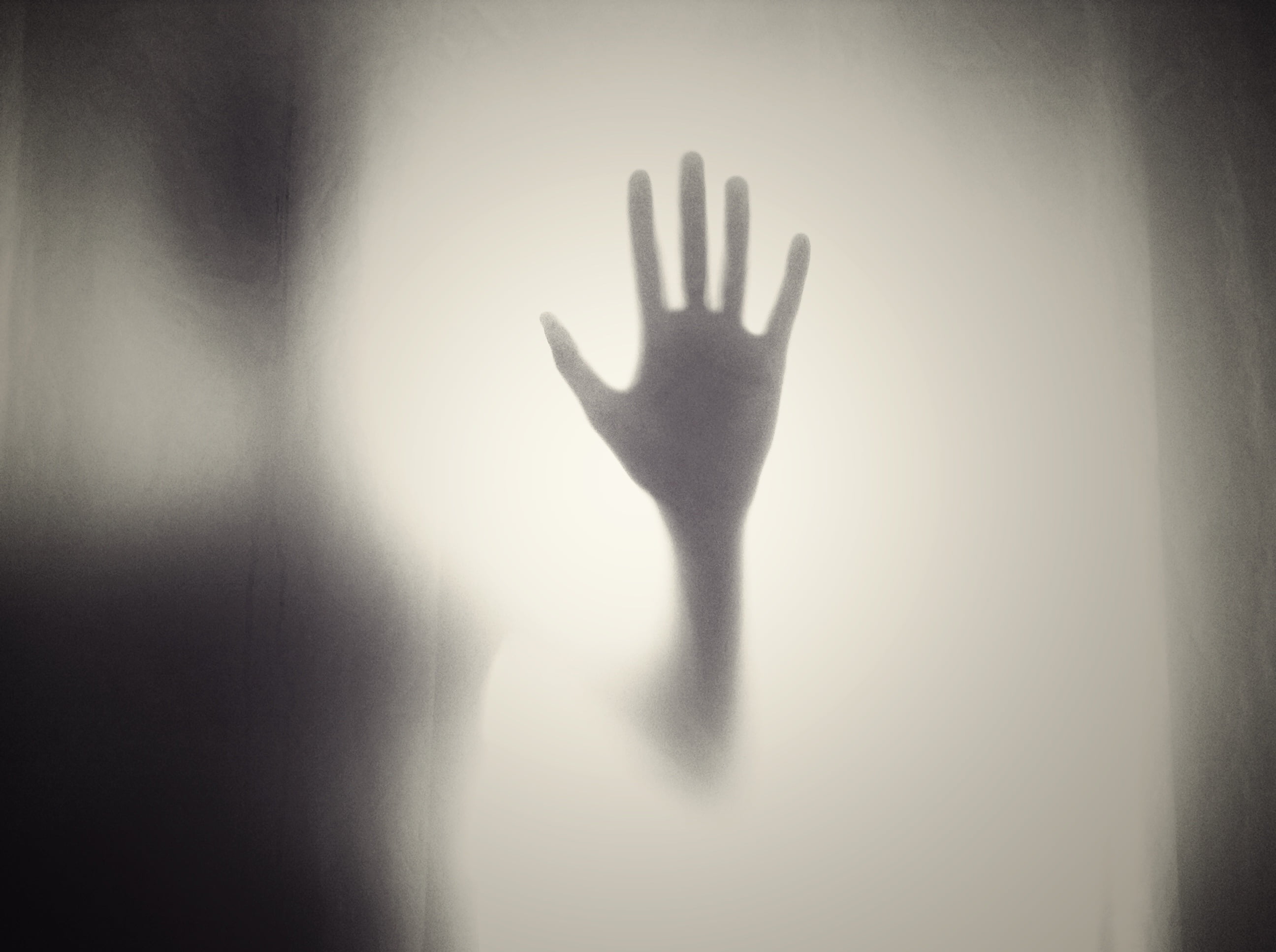 2592x1936 Silhouette of person's hand on glass HD wallpaper