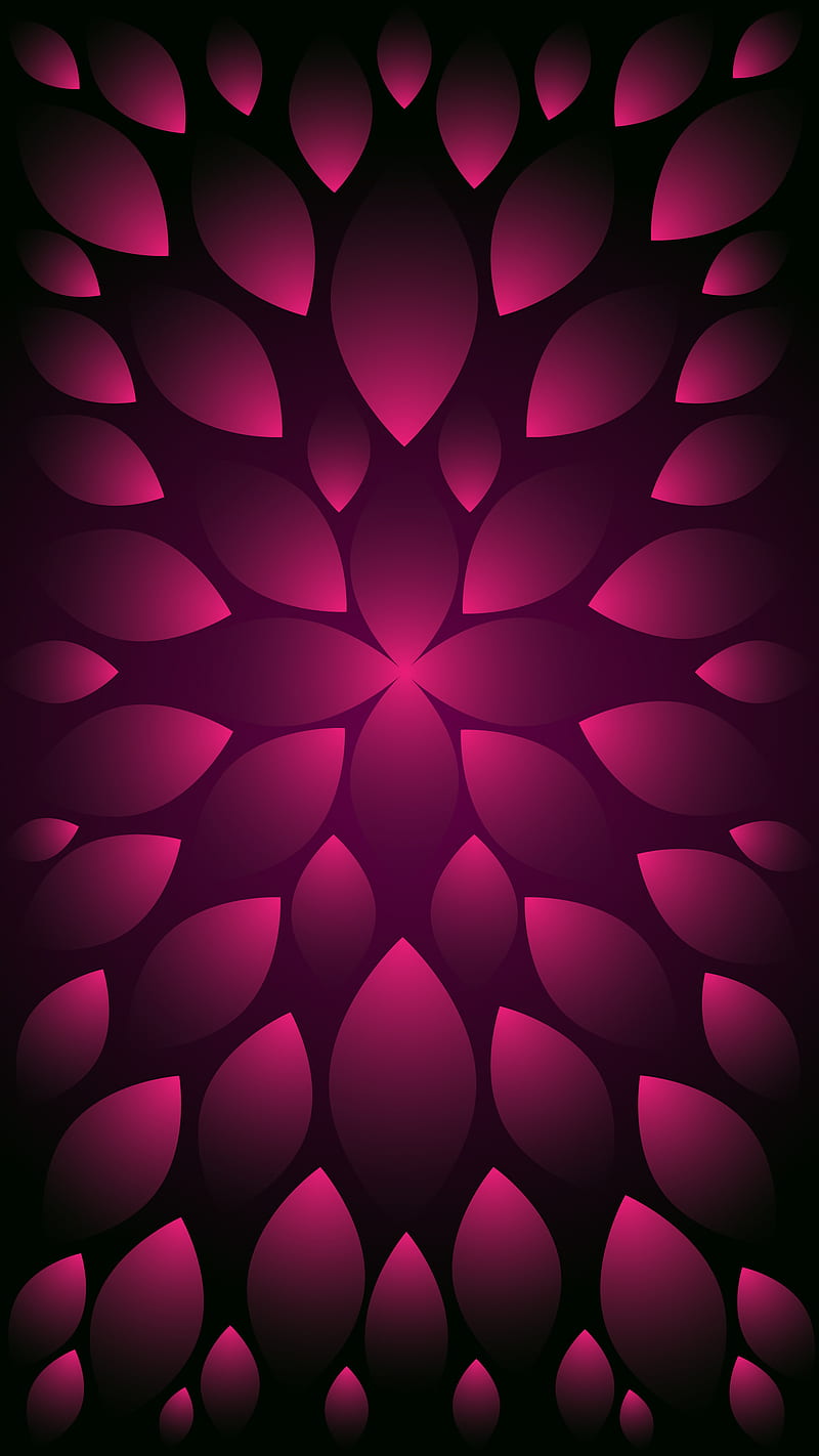 800x1422 Pink beauty, babypink, black&pink, cool, flower, girlish, petals, trending style, HD phone wallpaper