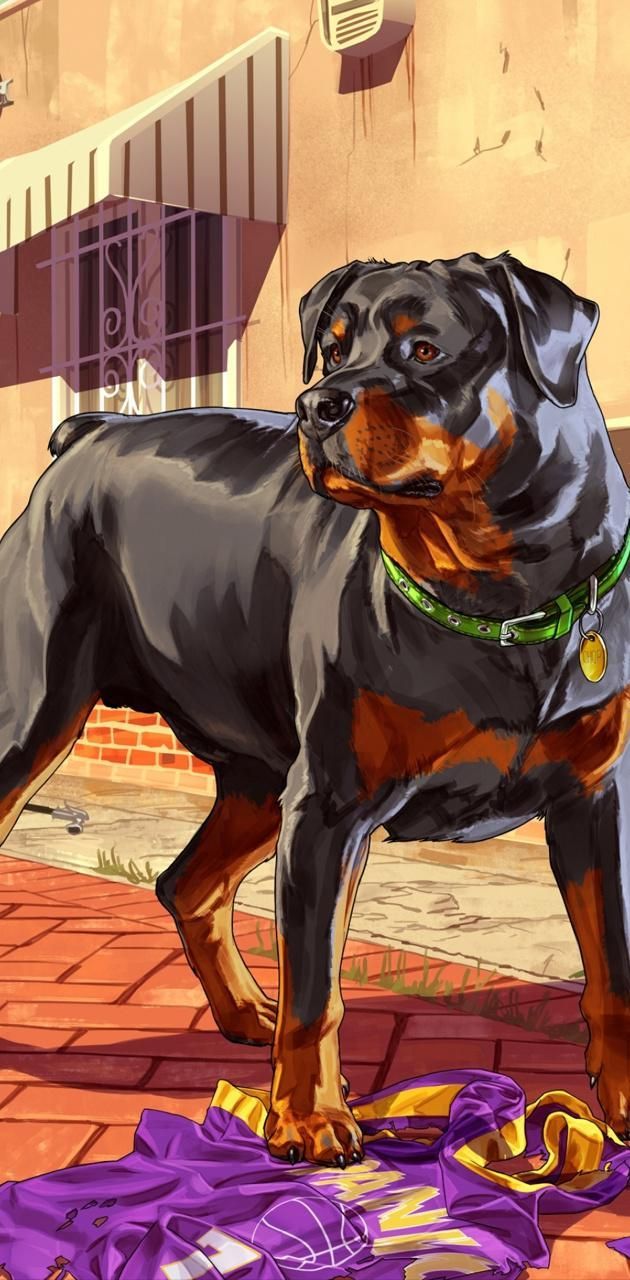 630x1280 GTA 5 Dog Chop wallpaper