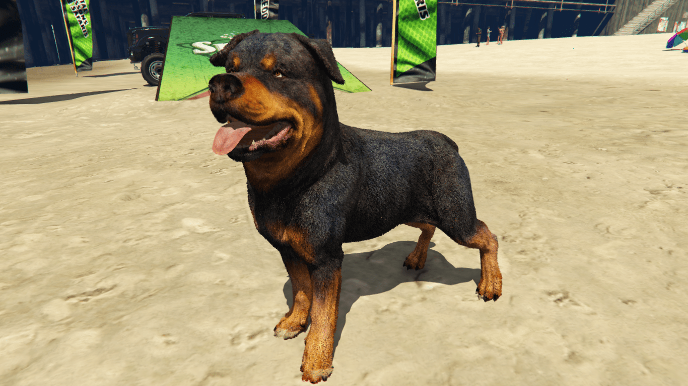 1366x768 COD Warzone Rottweiler