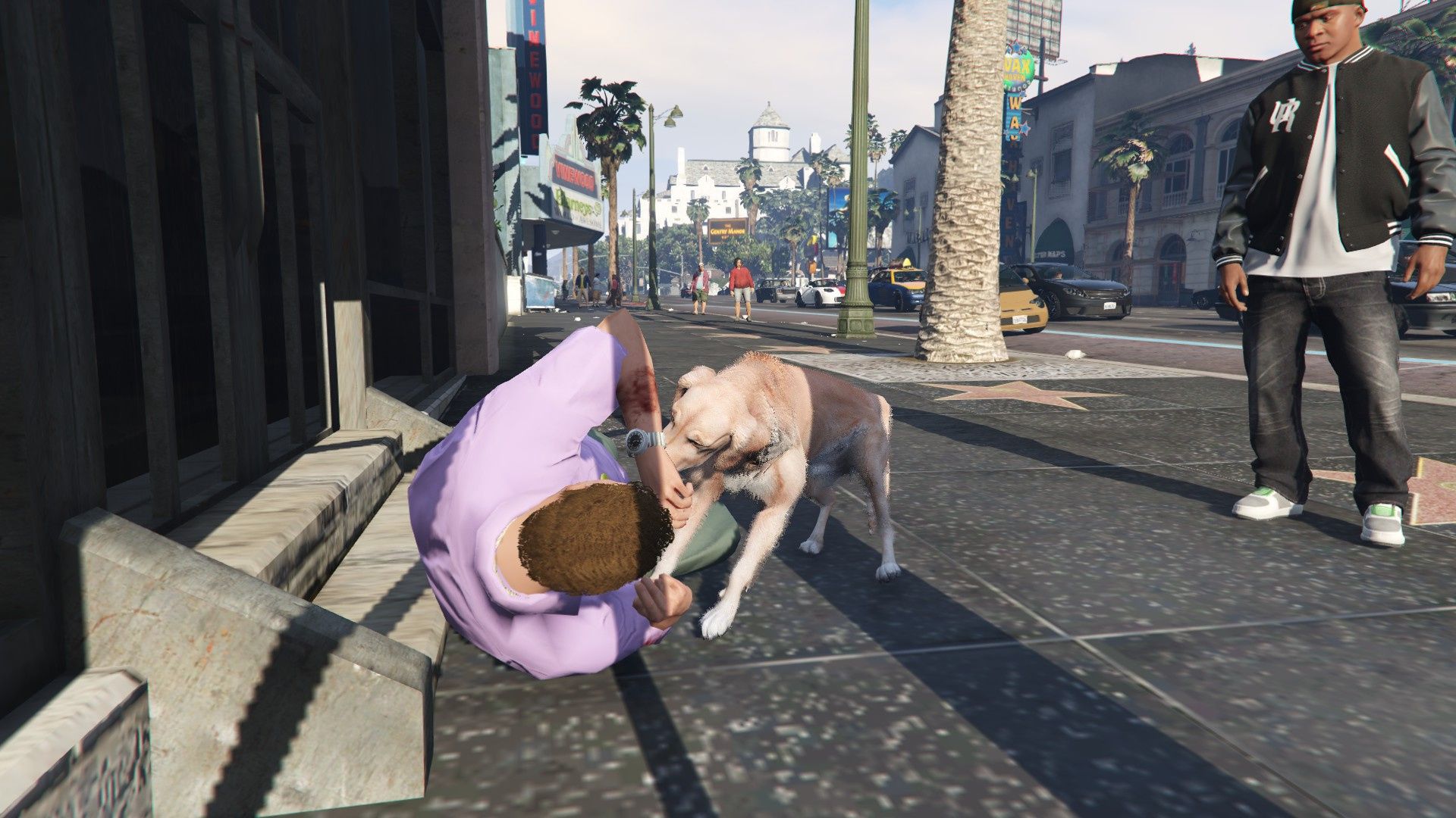 1920x1080 Golden Retriever Pet Mod