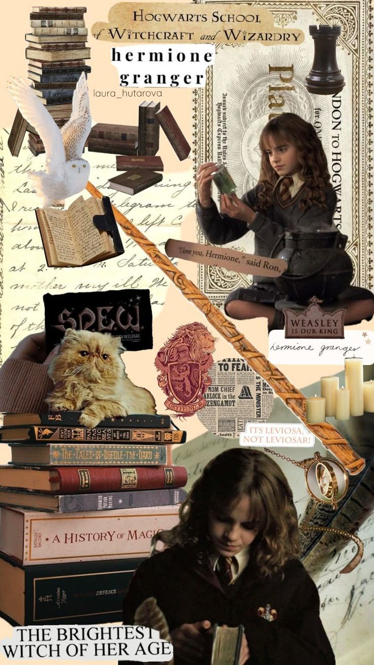 736x1308 Harry potter aesthetic collage wallpaper. Hermione collage, Harry potter wall collage, Harry potter background