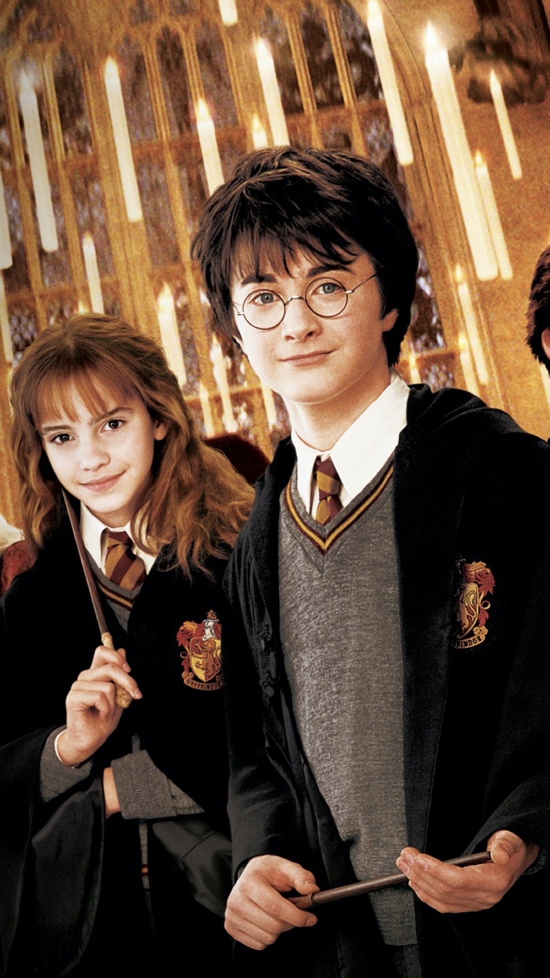 1080x1920 Harry Potter and the Chamber of Secrets Wallpaper 4K