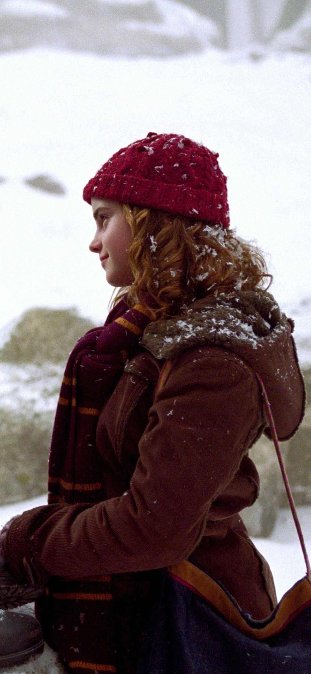 1080x2340 Phone wallpaper: Hermione Granger, Harry Potter, Harry Potter And The Prisoner Of Azkaban, Movie 1177993
