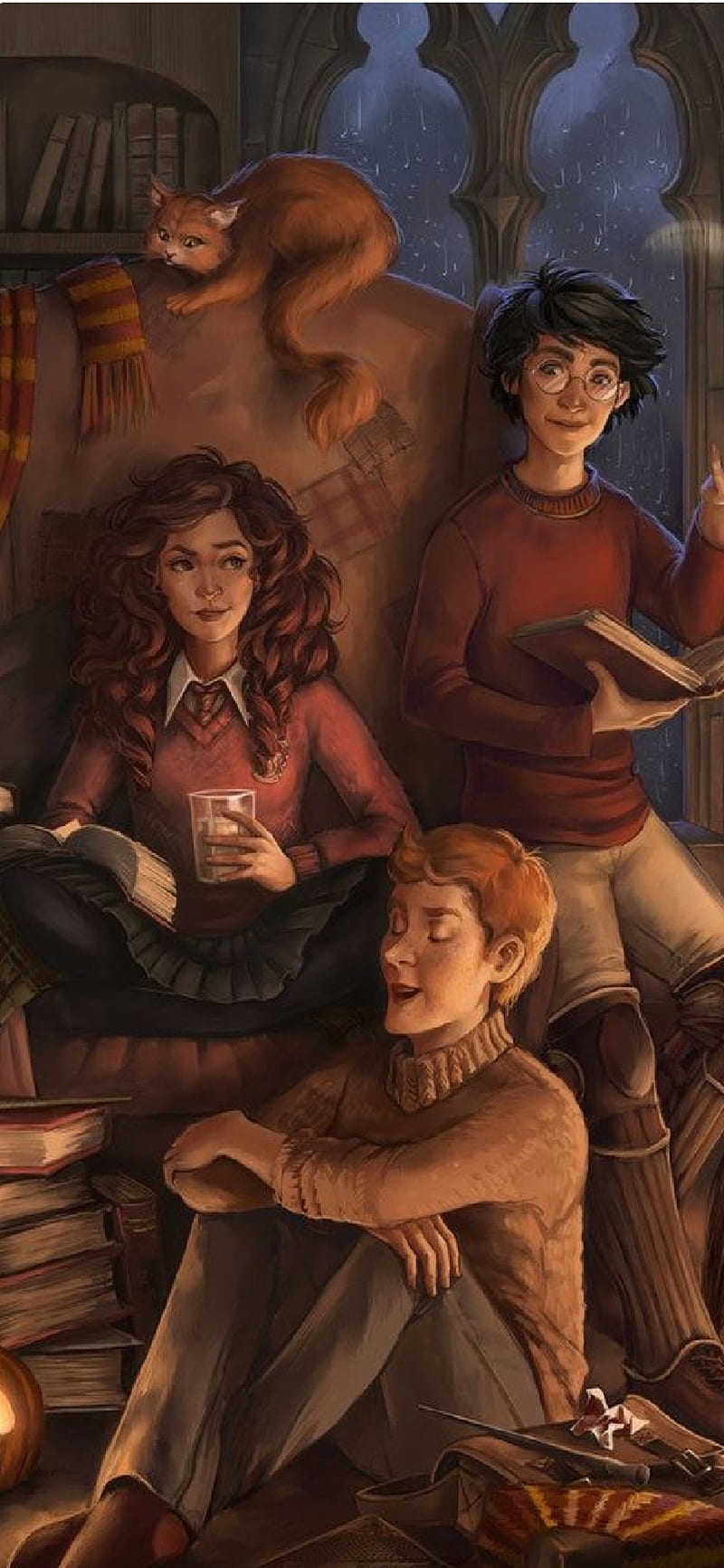 800x1733 Harry Potter trio, aesthetic, book, calm, cat, chosen one, harry potter, hermione granger, HD phone wallpaper