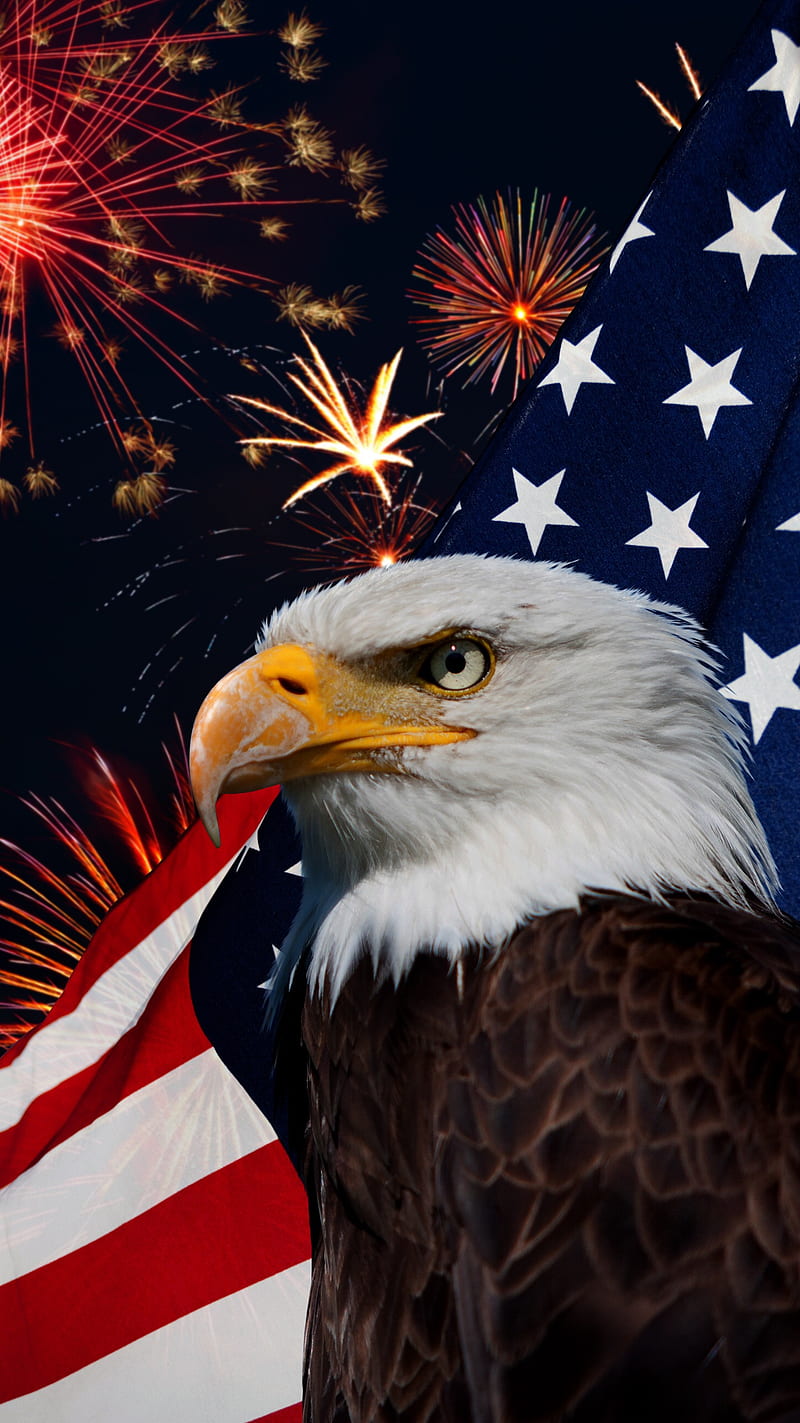 800x1423 Eagle, 4th of july, fireworks, HD phone wallpaper