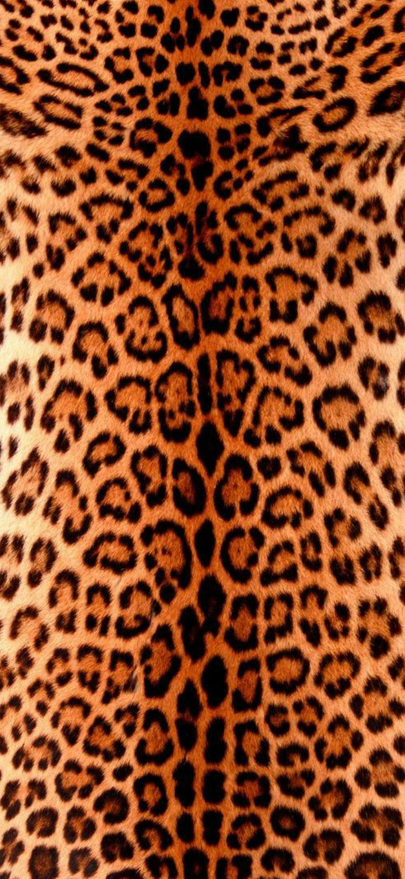 800x1733 Print, jaguar, HD phone wallpaper