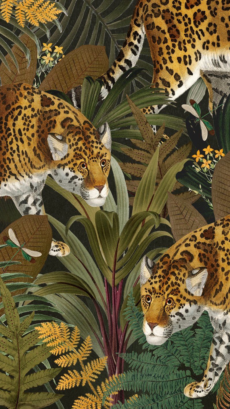 800x1422 Jaguar Wallpaper Jungle Image Wallpaper