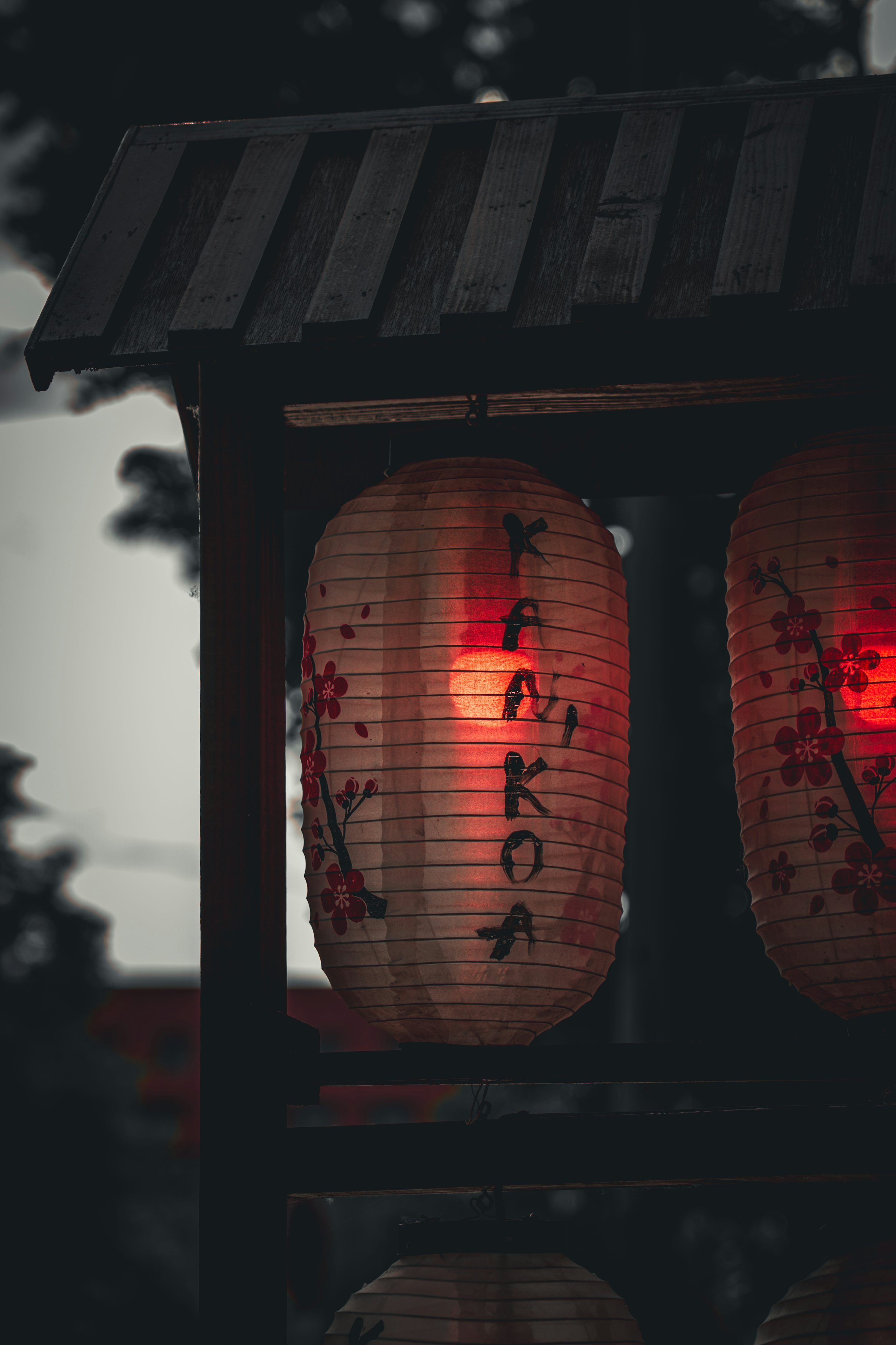3000x4500 Japanese lanterns illuminate the night with soft light. photo