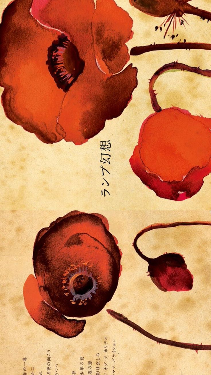 736x1308 lamp hatachi no koi desktop wallpaper #lampband #japaneseart #music #lampjapanesseband #hatachinokoi#wallpaper #desktopwallpaper