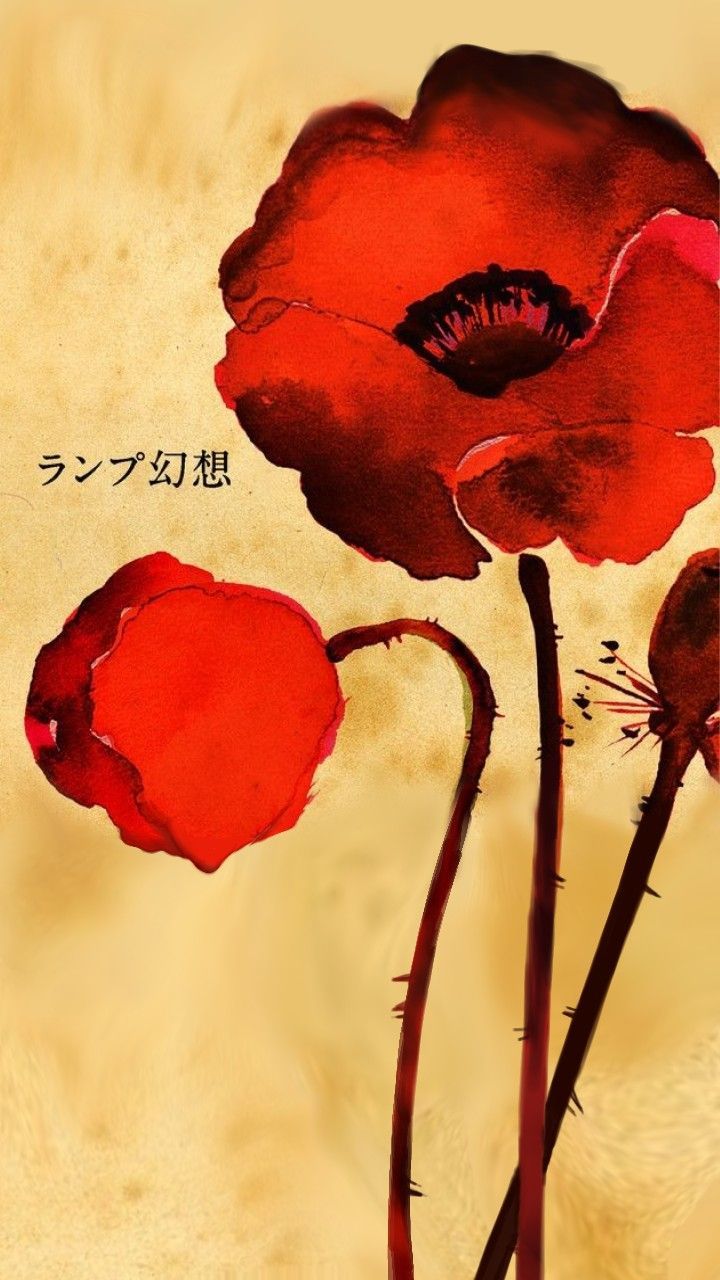 720x1280 Lamp Album Cover Wallpaper