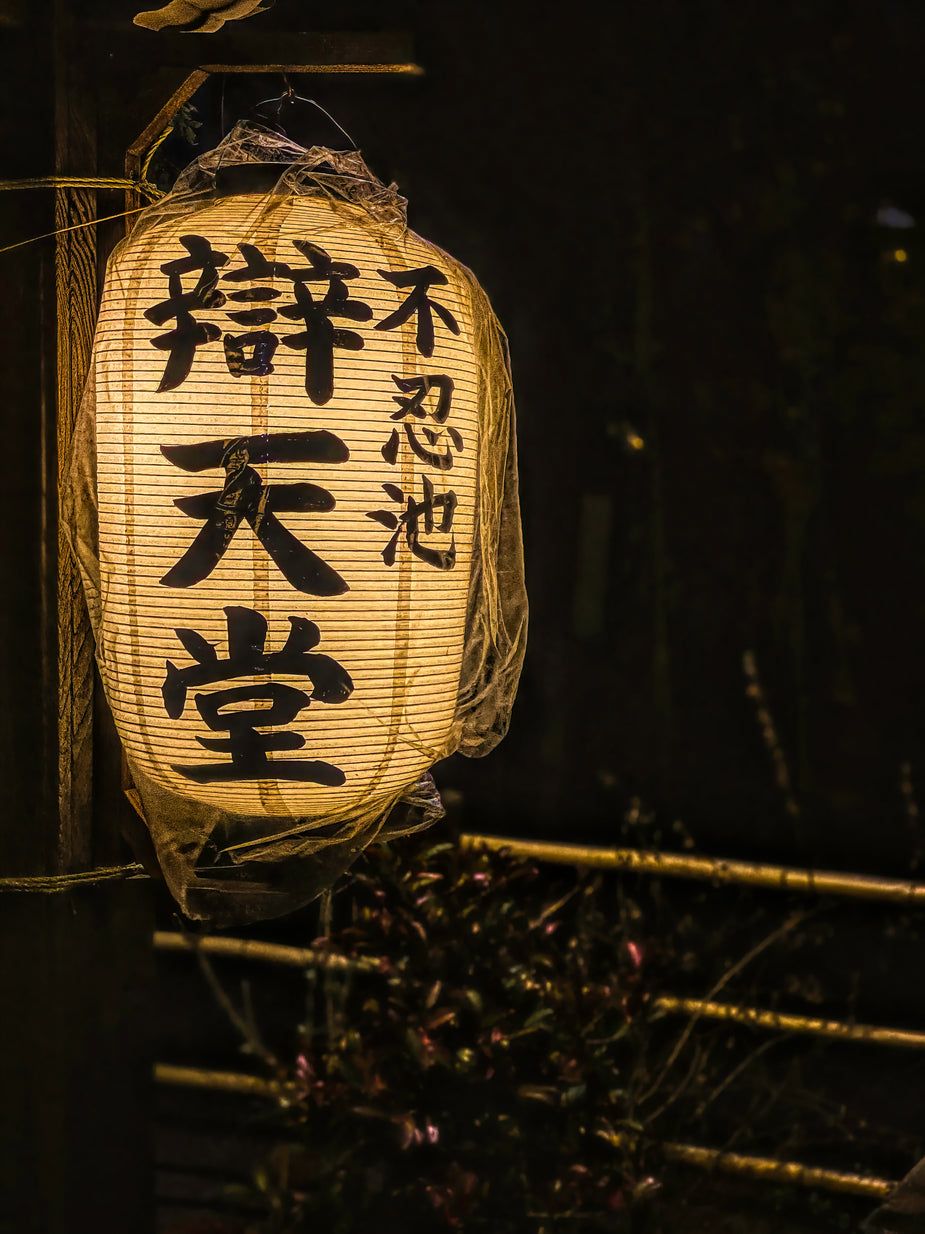925x1234 Browse Free HD Image of A Hanging Paper Lantern Illuminated