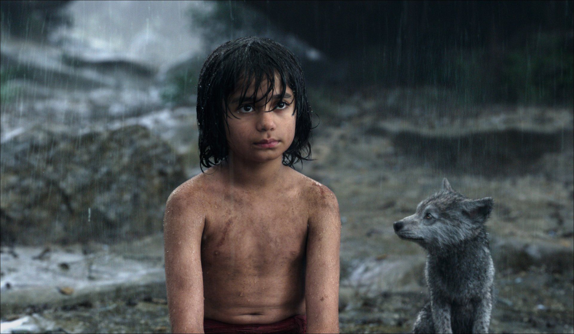 1920x1120 The Jungle Book (2016) HD Wallpaperx1224