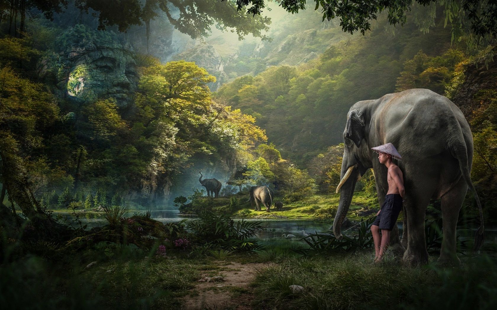 1680x1050 Wallpaper Jungle, boy, elephants, trees 1920x1200 Picture, Image