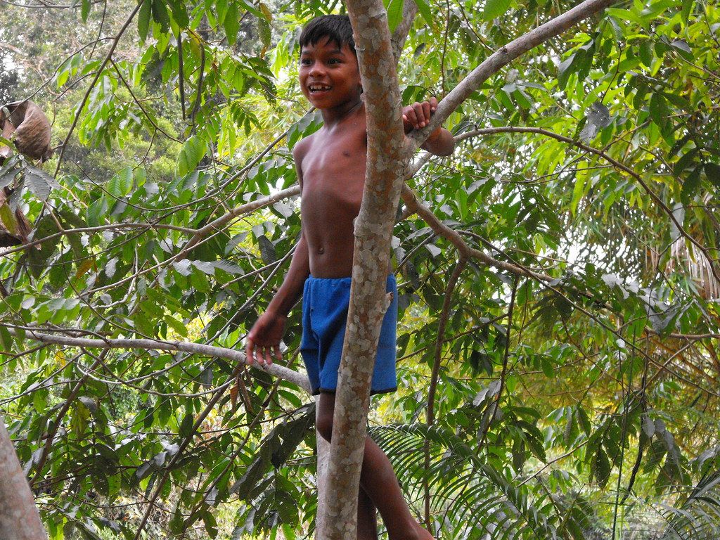 1024x768 Young Indian Boy in Amazon Jungle