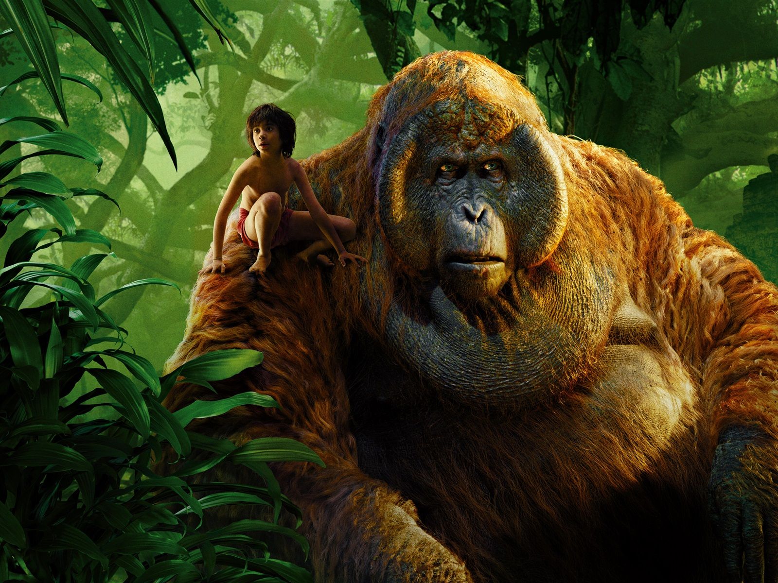 1600x1200 Wallpaper The Jungle Book boy and gorilla 2880x1800 Picture, Image
