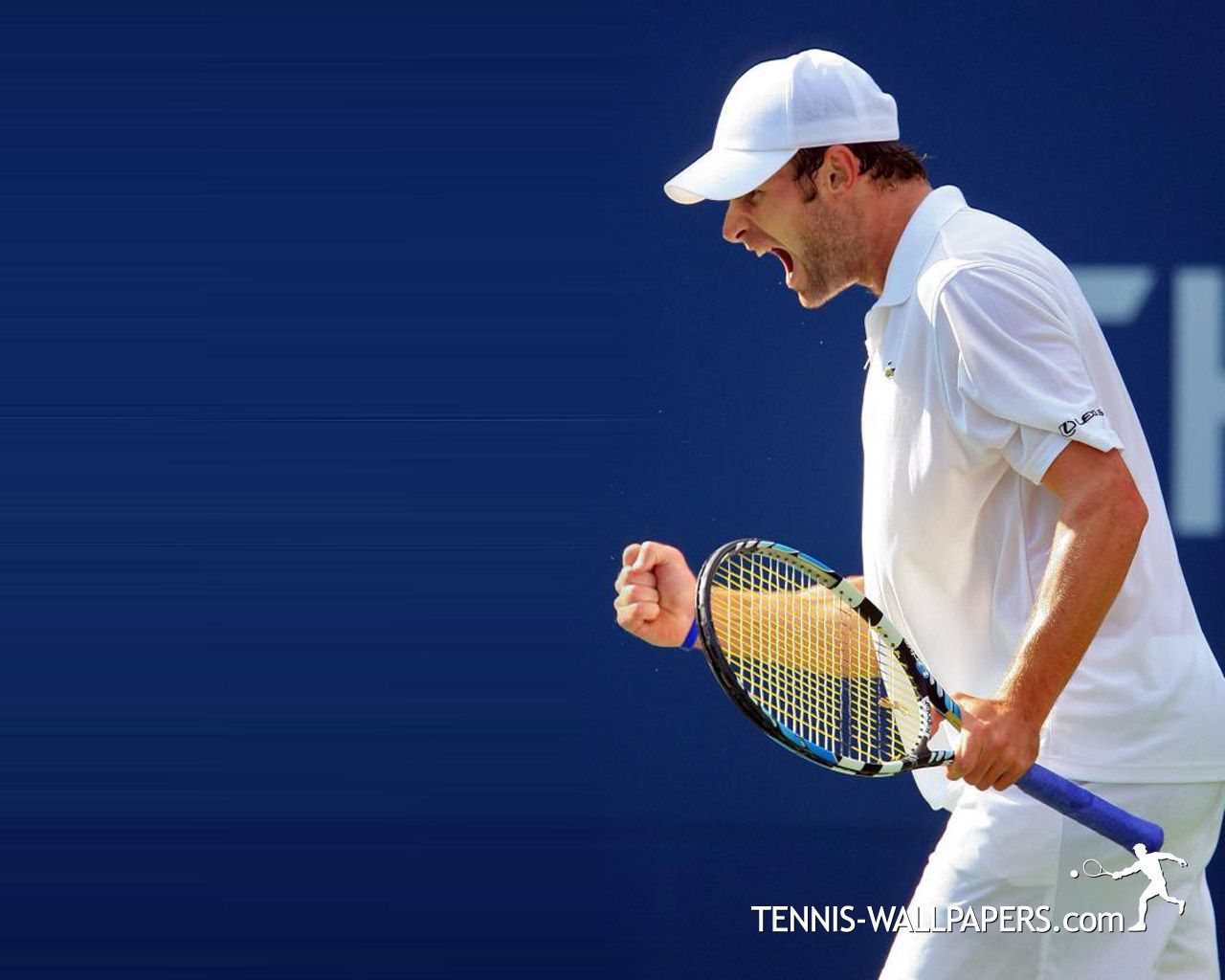 1280x1024 Andy Roddick US Open. A Daily Weekly Monthly Issue
