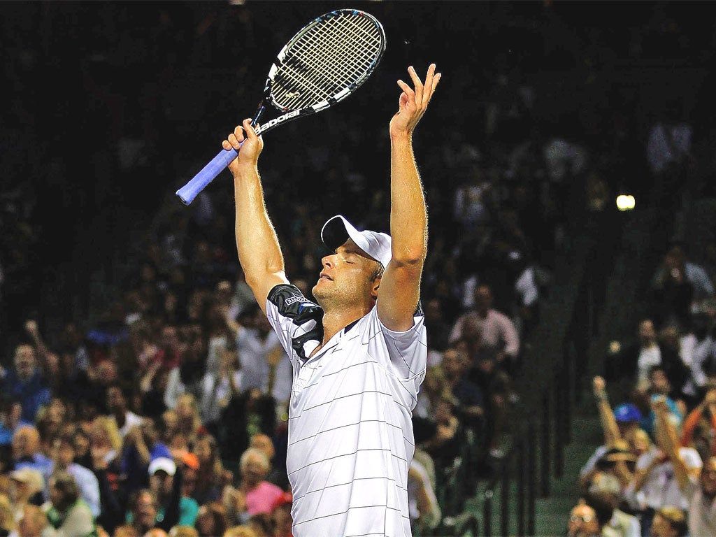 1024x768 Andy Roddick will play at Queen's