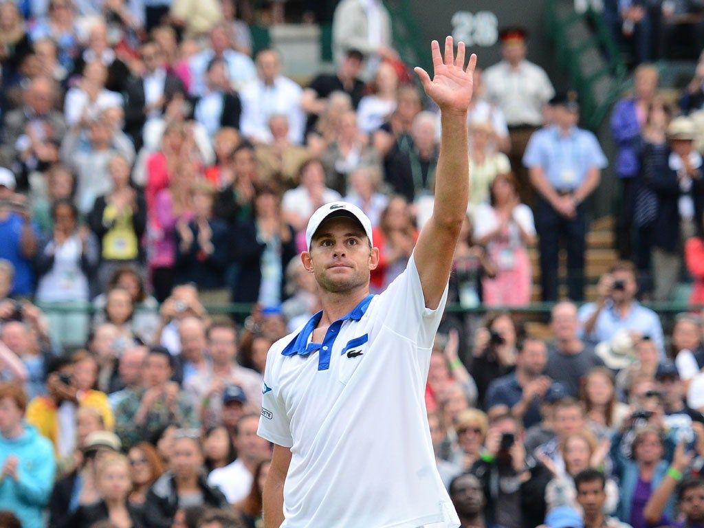 1024x768 Andy Roddick safe but Uncle Sam's search for a US star goes on