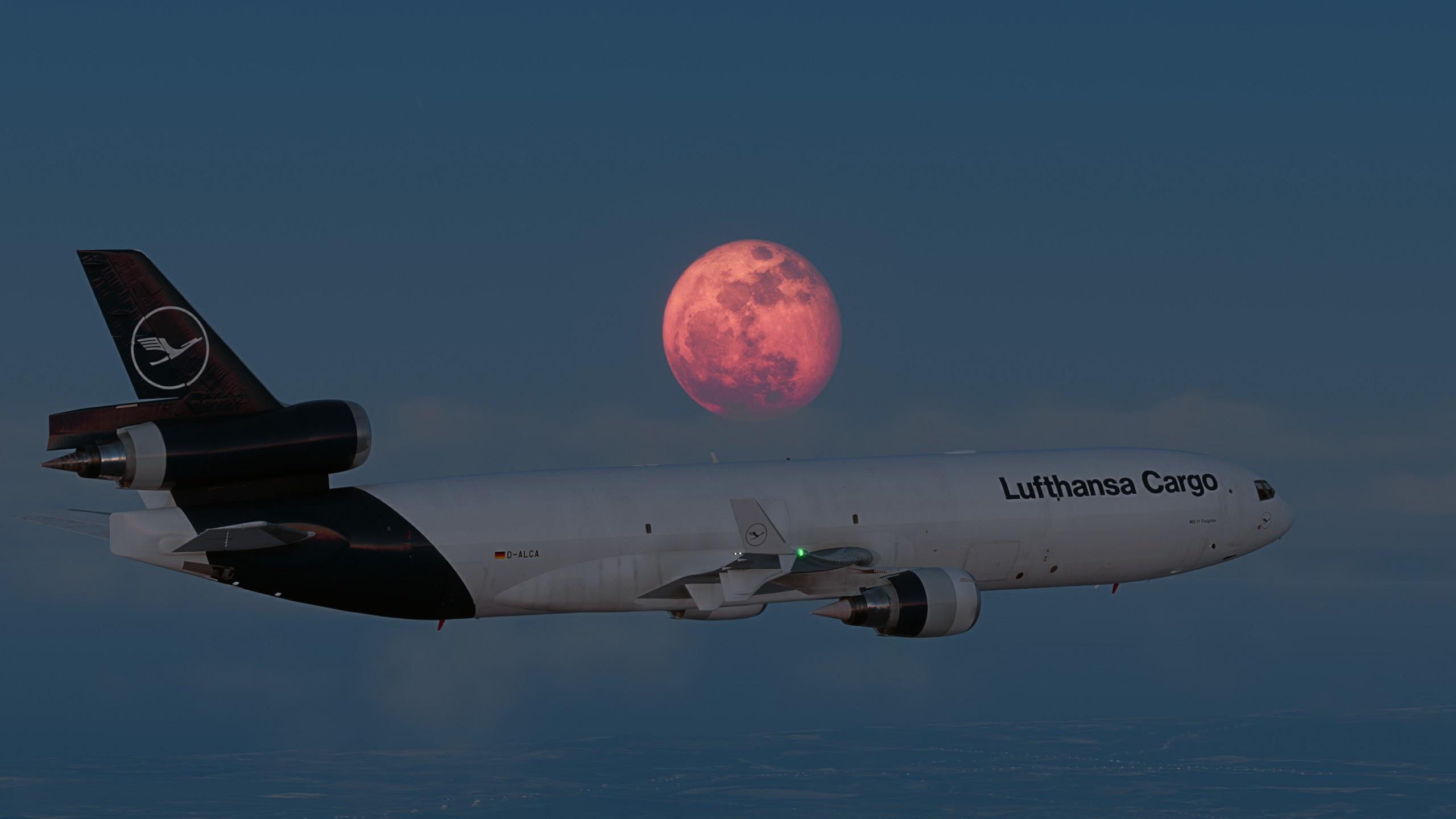 2560x1440 Md 11 is just so special