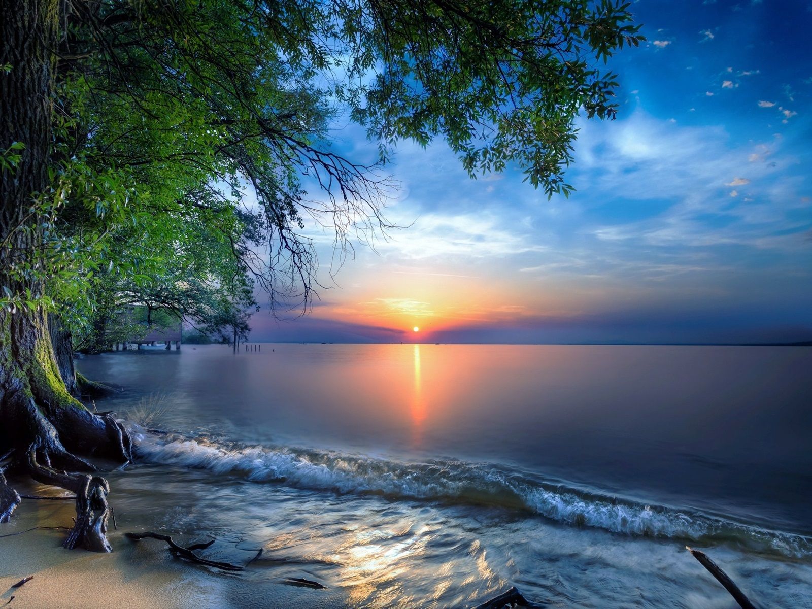 1600x1200 Austria, Lake Constance, Water, Trees, Sunrise 750x1334 IPhone 8 7 6 6S Wallpaper, Background, Picture, Image