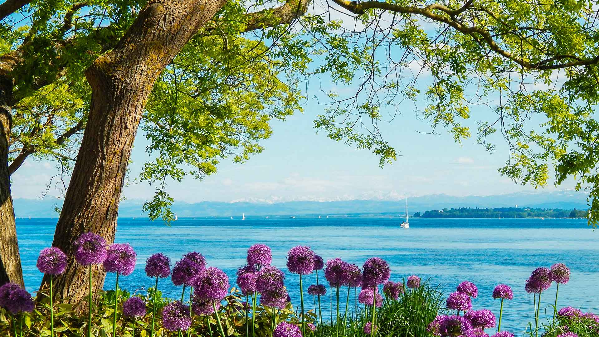 1920x1080 Lake Constance : Alps Travel Guide : Nordic Visitor