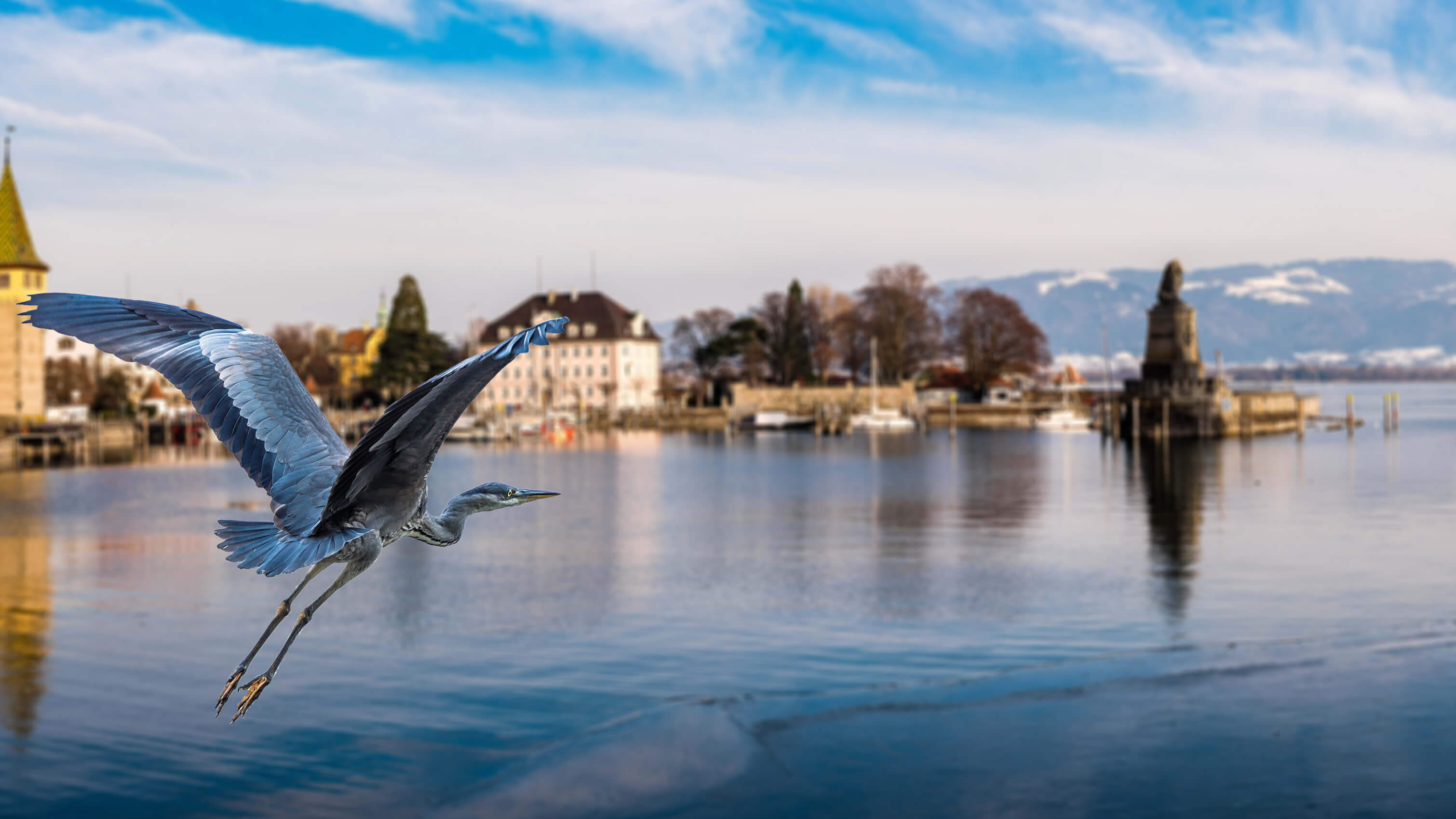 3020x1699 Discover Lake Constance bike tours ▻ Information and tours