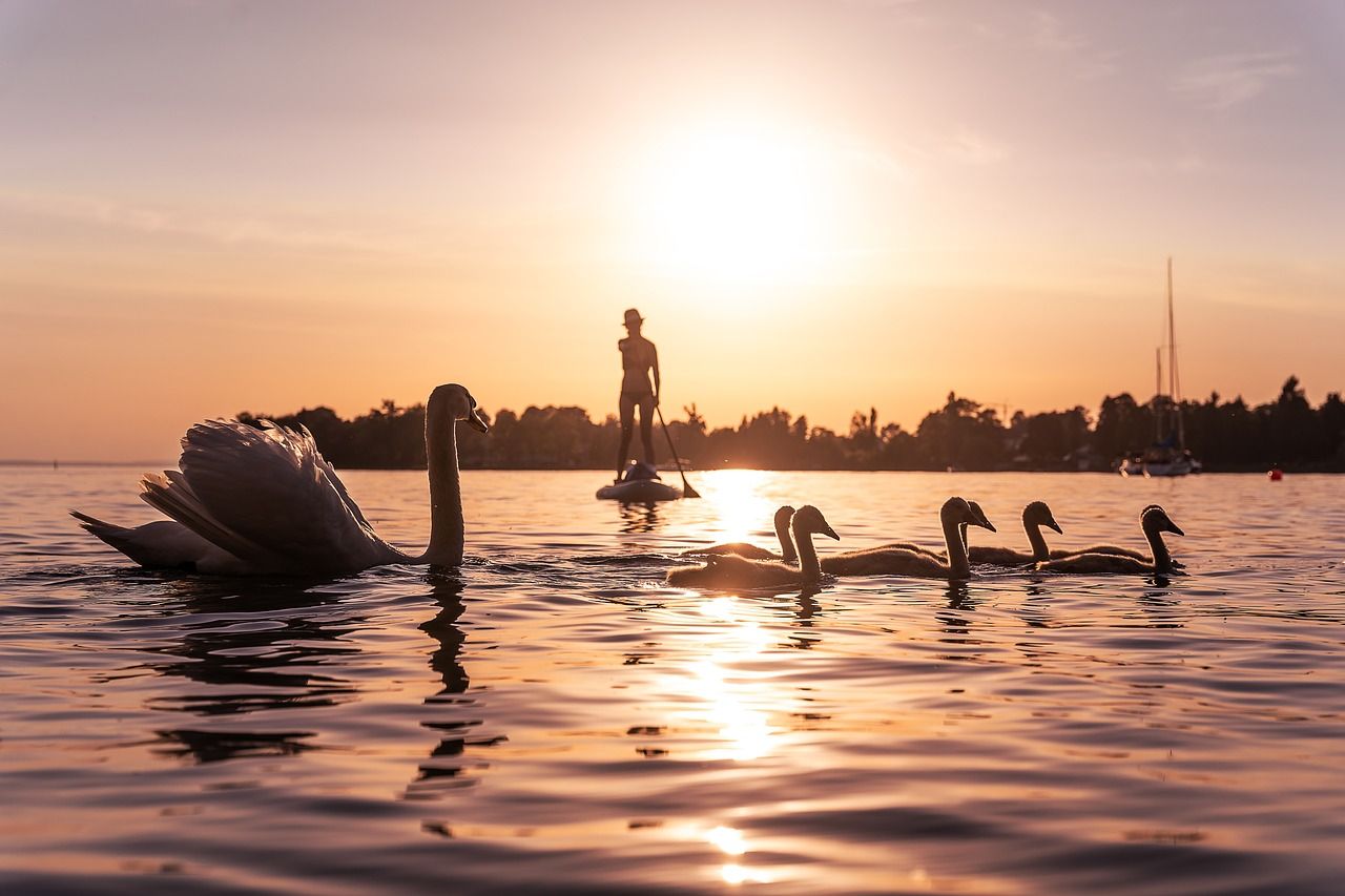 1280x853 A Scenic Day Trip From Zurich To Lake Constance: Itinerary