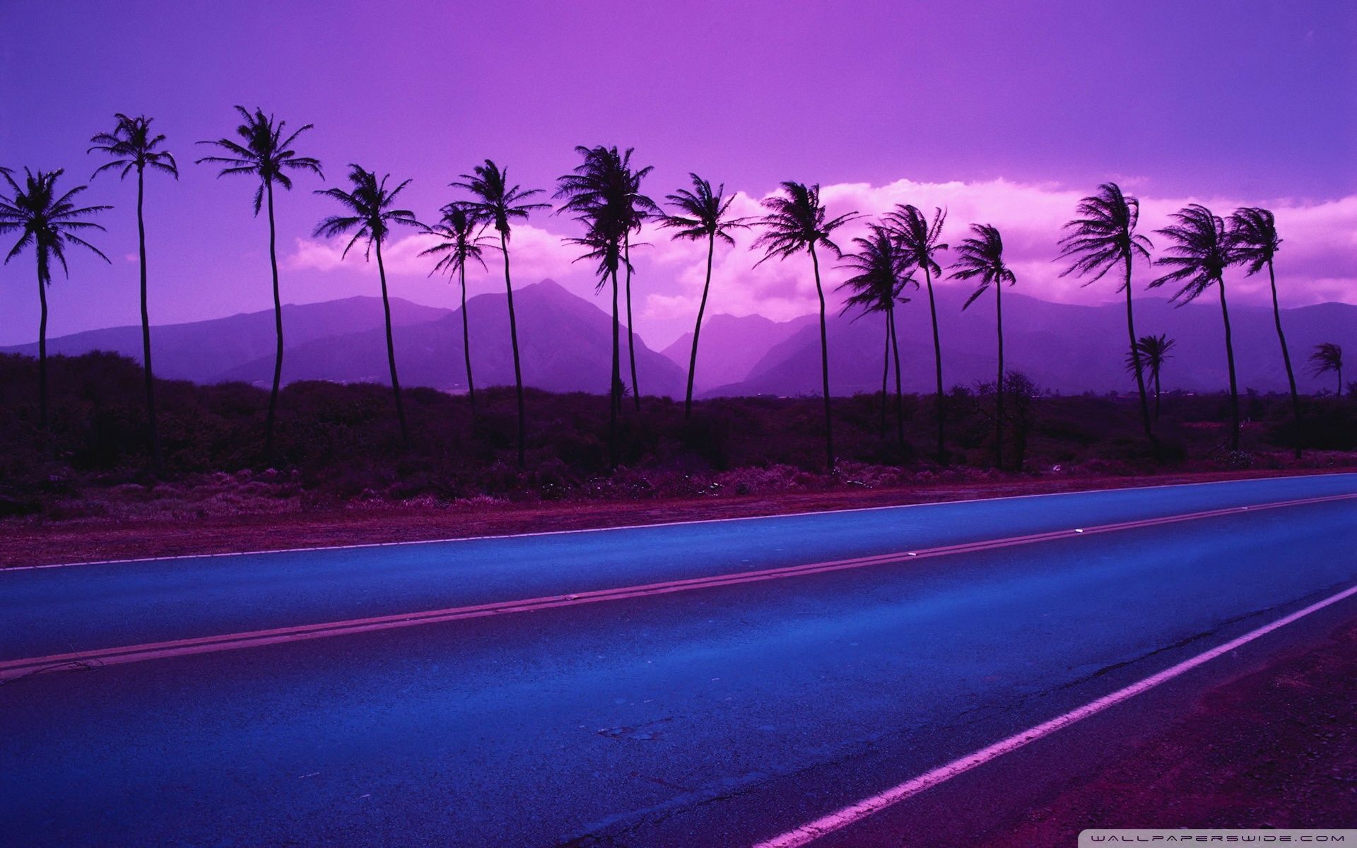 1920x1200 Road Side Wallpaper