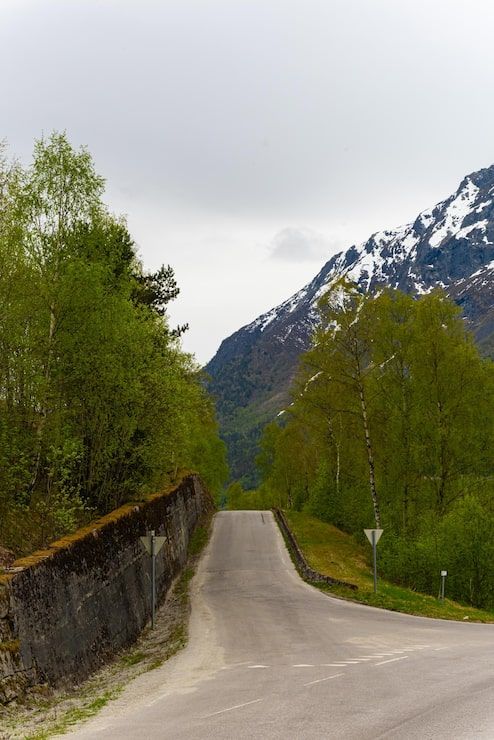 494x740 Roadside view Image