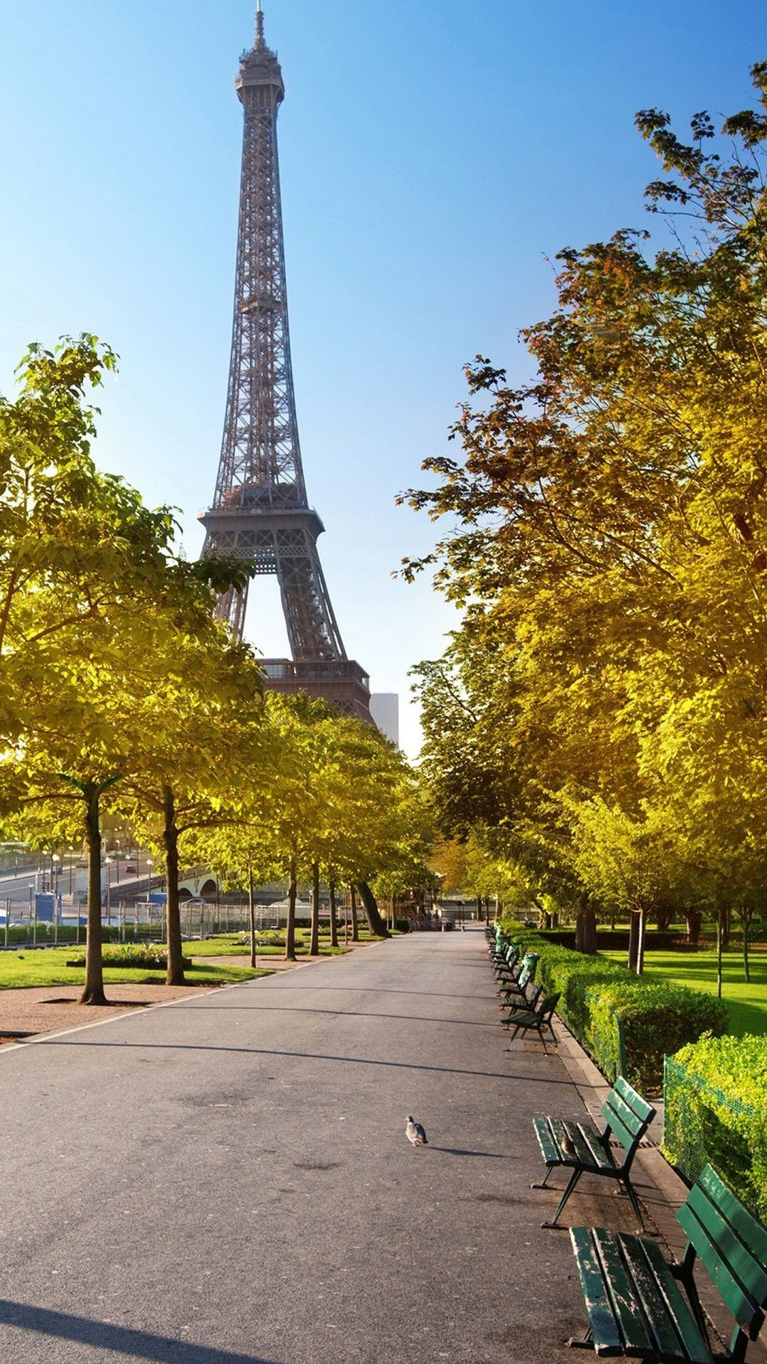 1080x1920 Paris Eiffel Tower From The View Of Roadside With Blue Sky Background 4K HD Travel Wallpaper