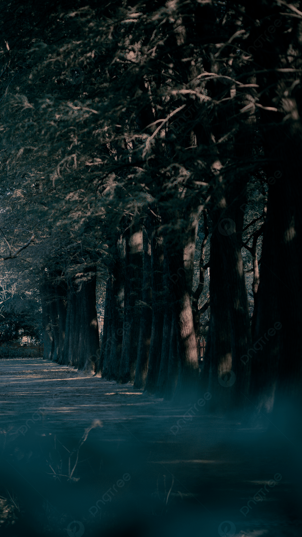 1200x2133 Street View Vertical Roadside Scenery Shooting Background Wallpaper Image For Free Download