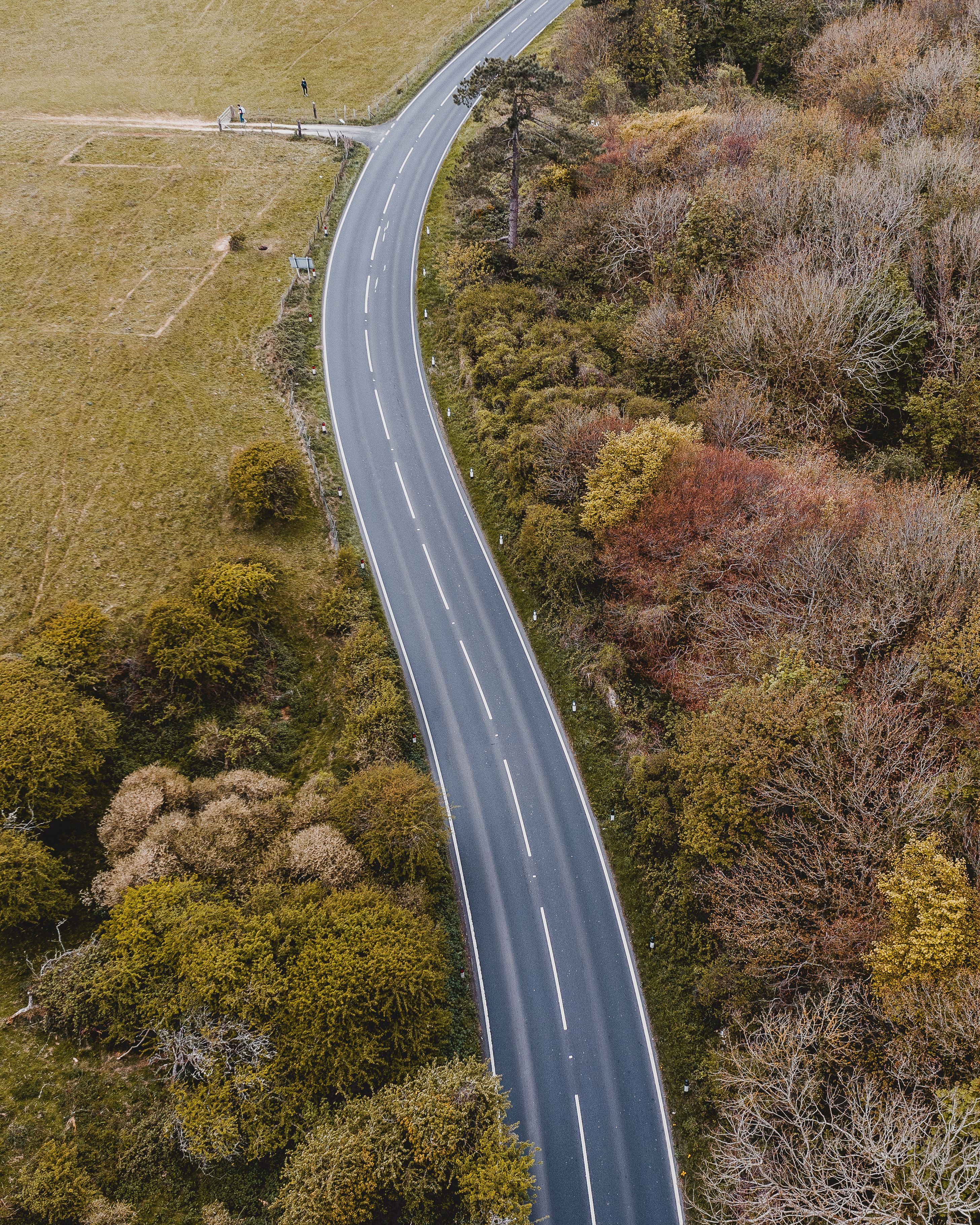 2912x3640 Best Road Photo · 100% Free Downloads