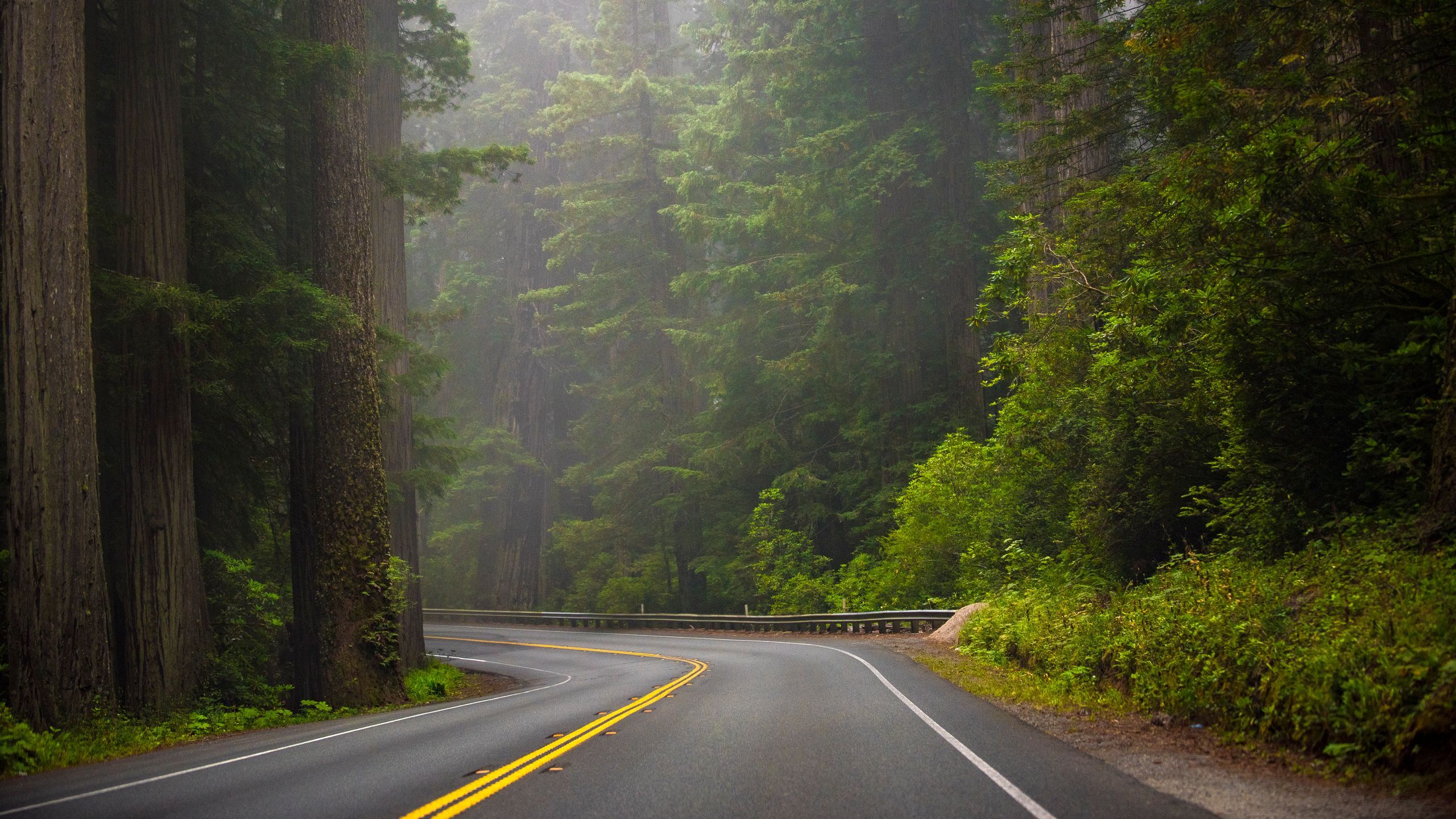 2560x1440 The Best Credit Cards to Take on a Road Trip. Condé Nast Traveler