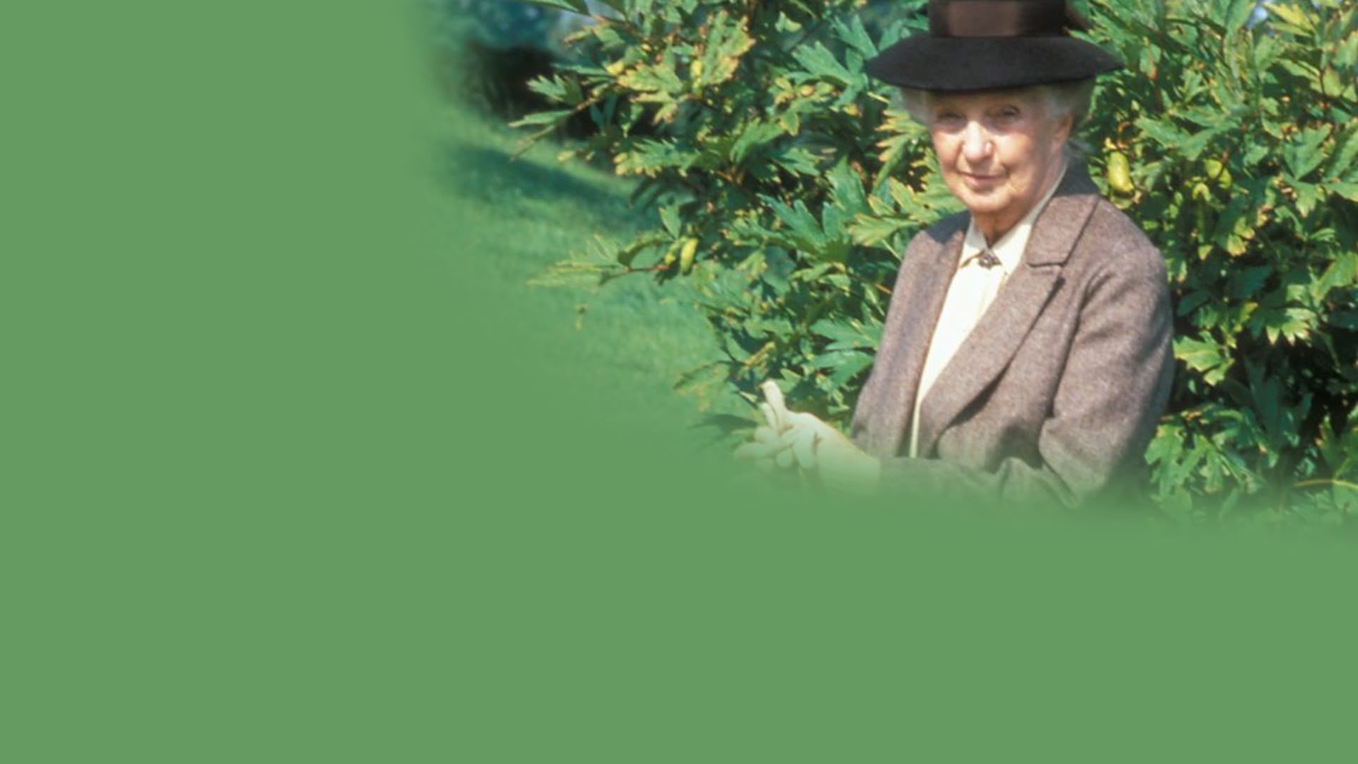 1920x1080 Miss Marple
