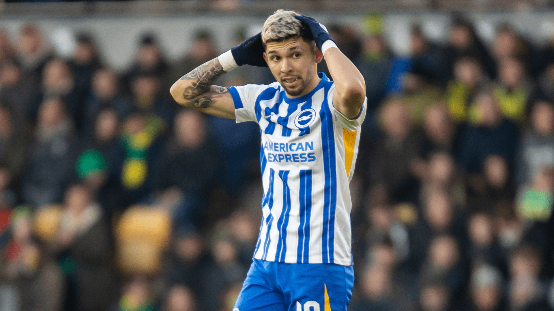 1920x1080 SportyTV. Brighton's Enciso out for up to three months with knee injury