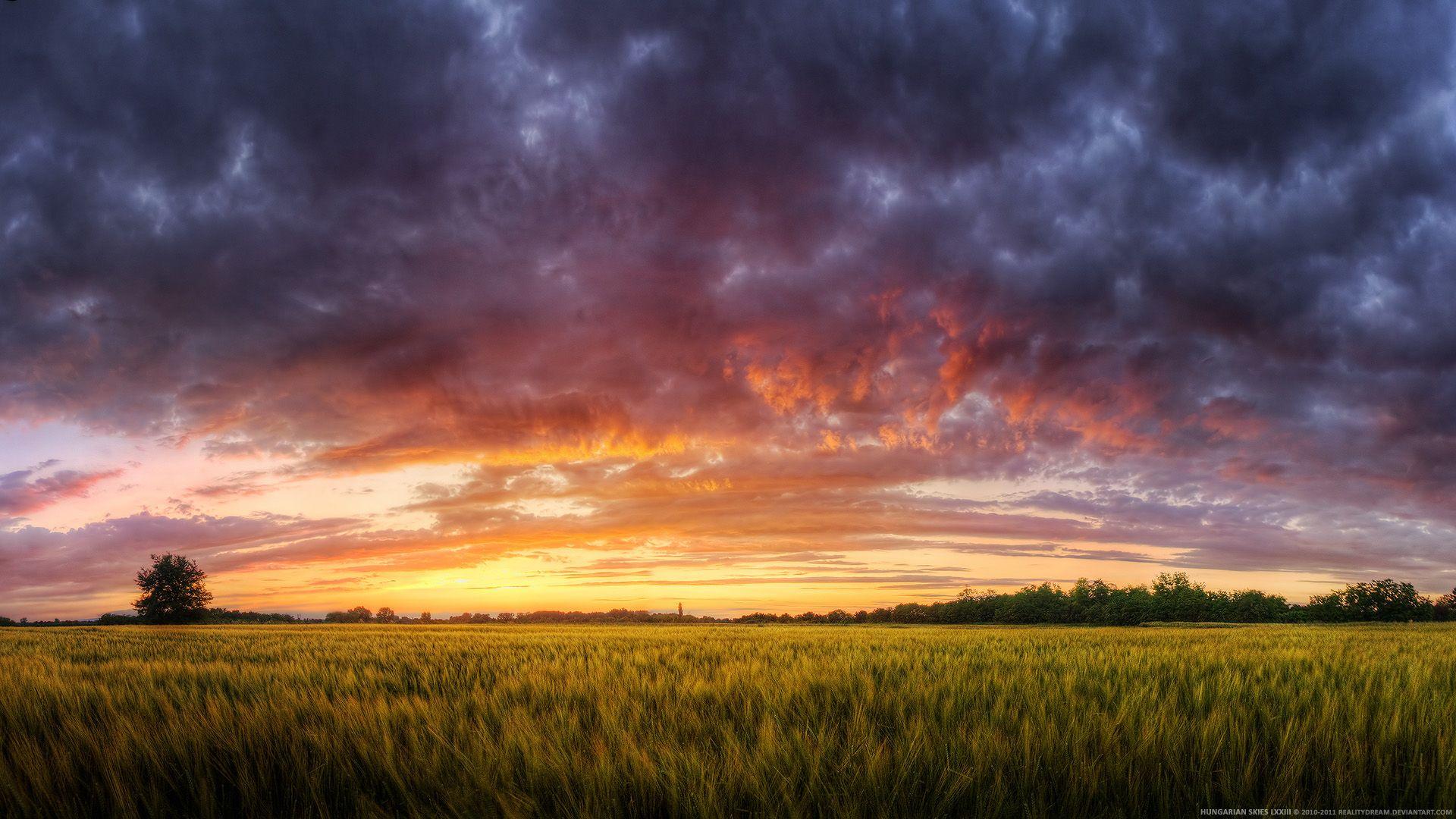 1920x1080 Hungarian skies Awesome Nature HD Wallpaper 343 - Sunset Field HD Wallpaper