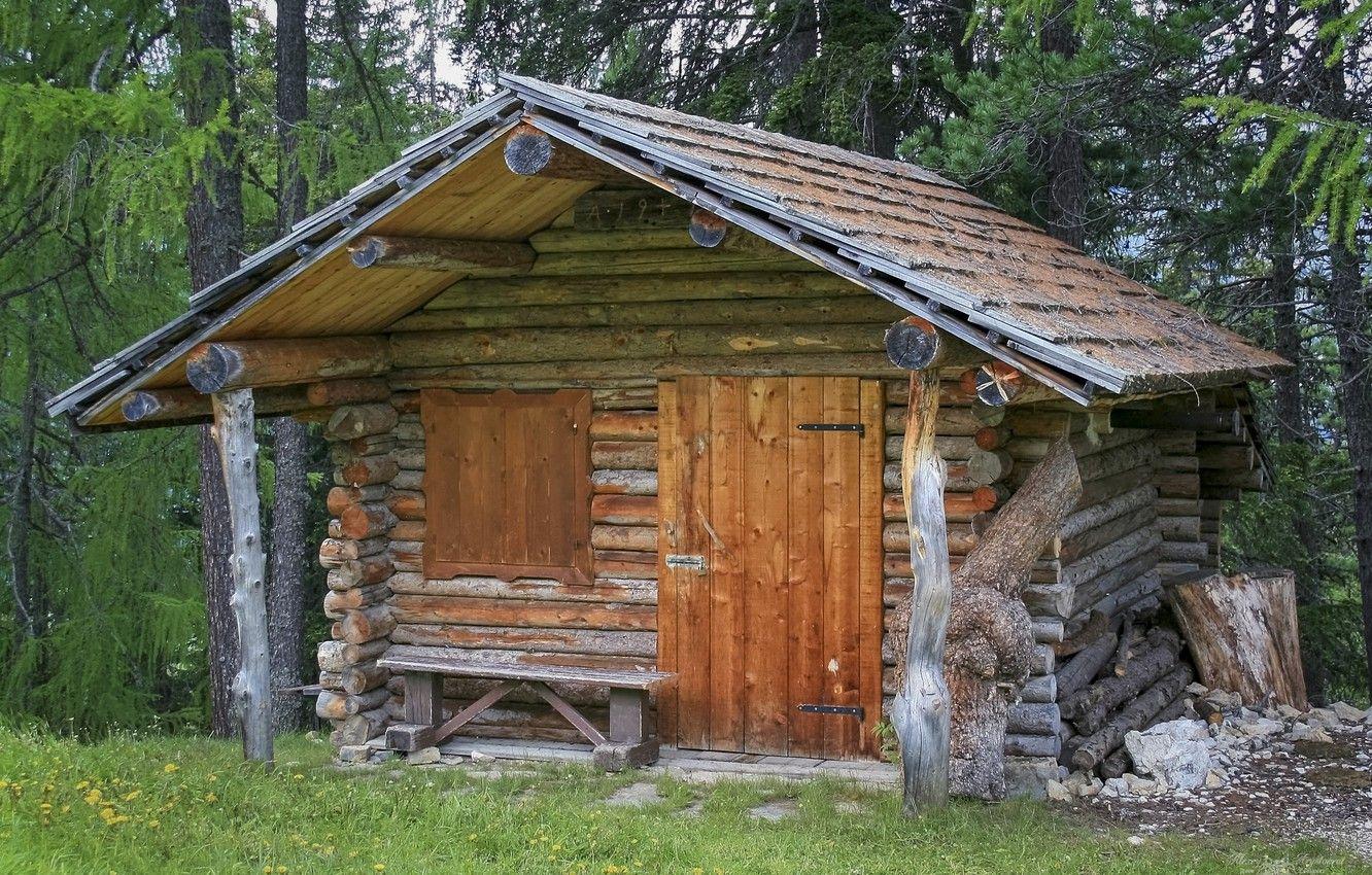 1332x850 Wallpaper forest, bench, Alps, hut, architecture, pine, frame
