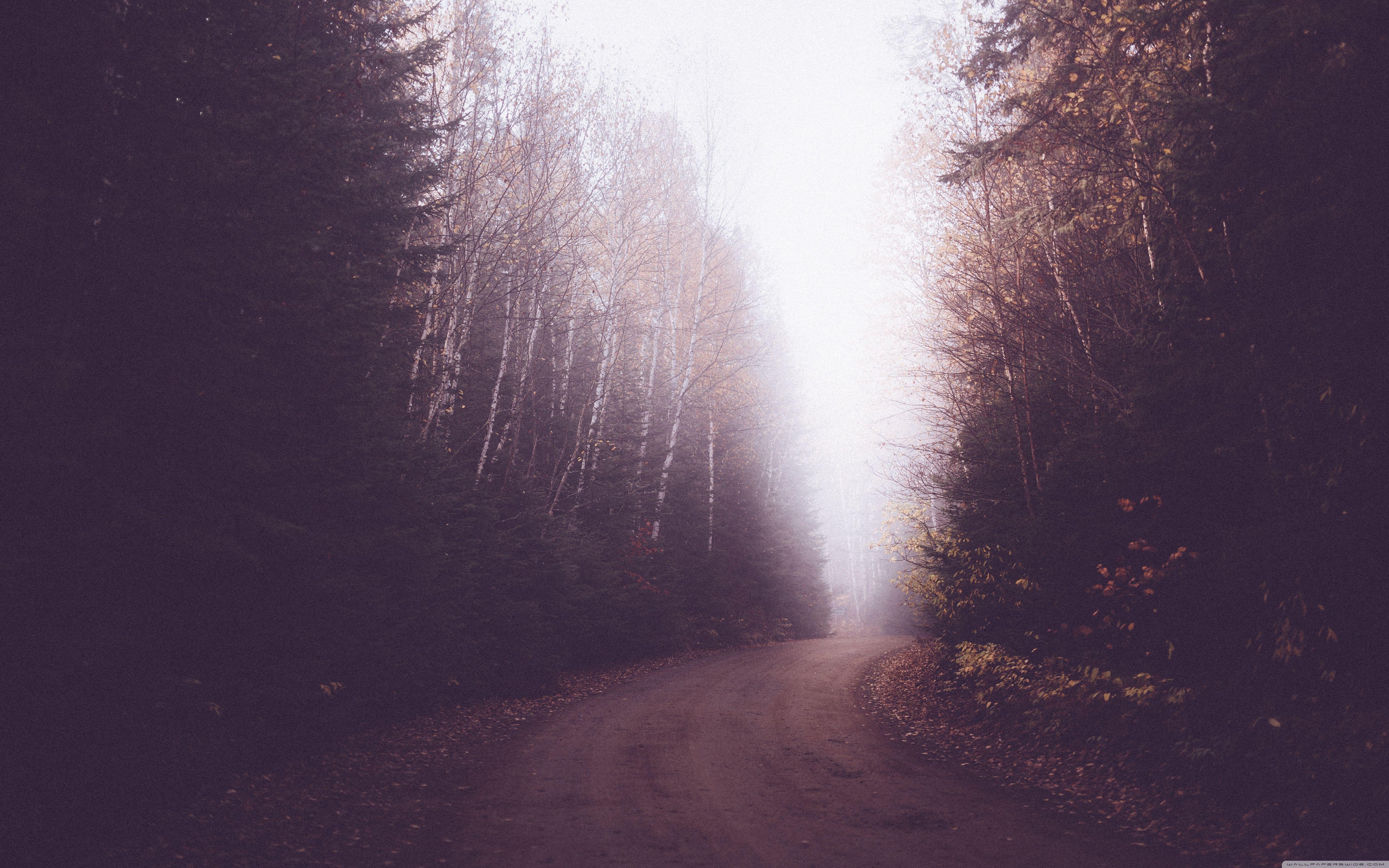 5120x3200 Vintage Foggy Forest Road ❤ 4K HD Desktop Wallpaper for 4K Ultra HD