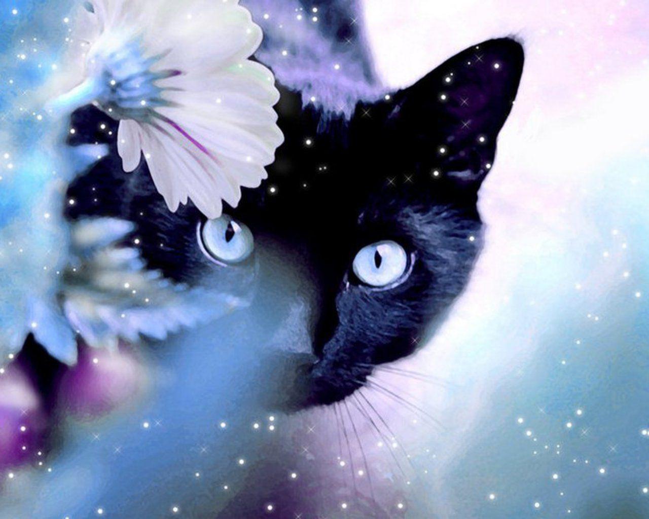 1280x1024 Wallpaper Black Cat