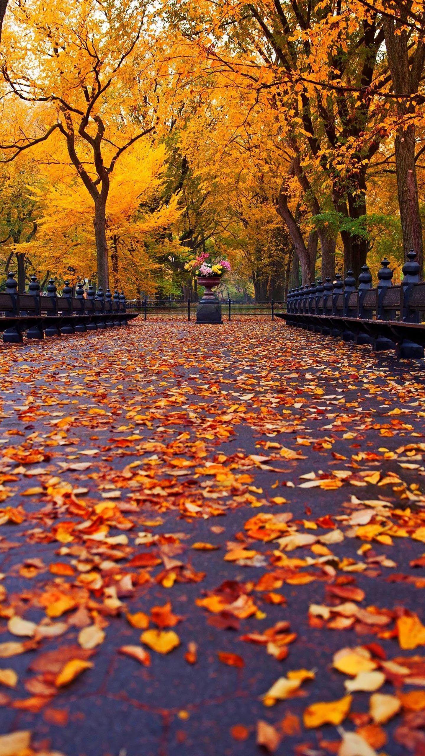 Autumn Mobile Wallpapers - Top Free Autumn Mobile Backgrounds ...