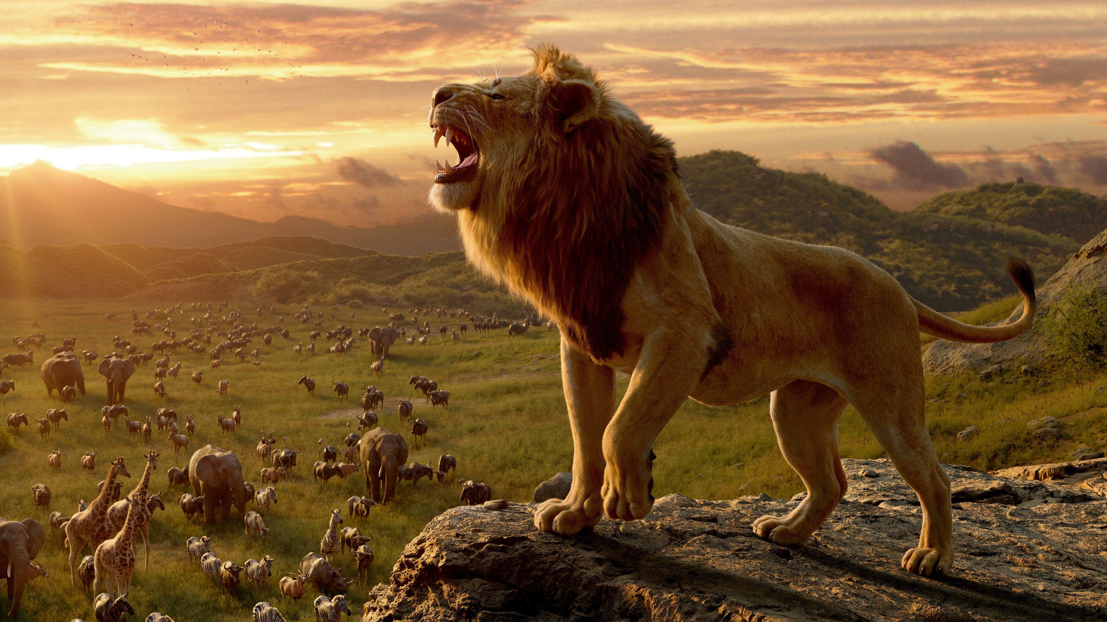 Hình nền 3840x2160 4k The Lion King Movie 10k Hình nền, Hình nền phim 2019, Hình nền 4k, Hình nền 5k, Hình nền 8k, Hình nền Disney, Hình nền hd, Hình nền sư tử, Phim hình nền, The Lion King Wallpaper