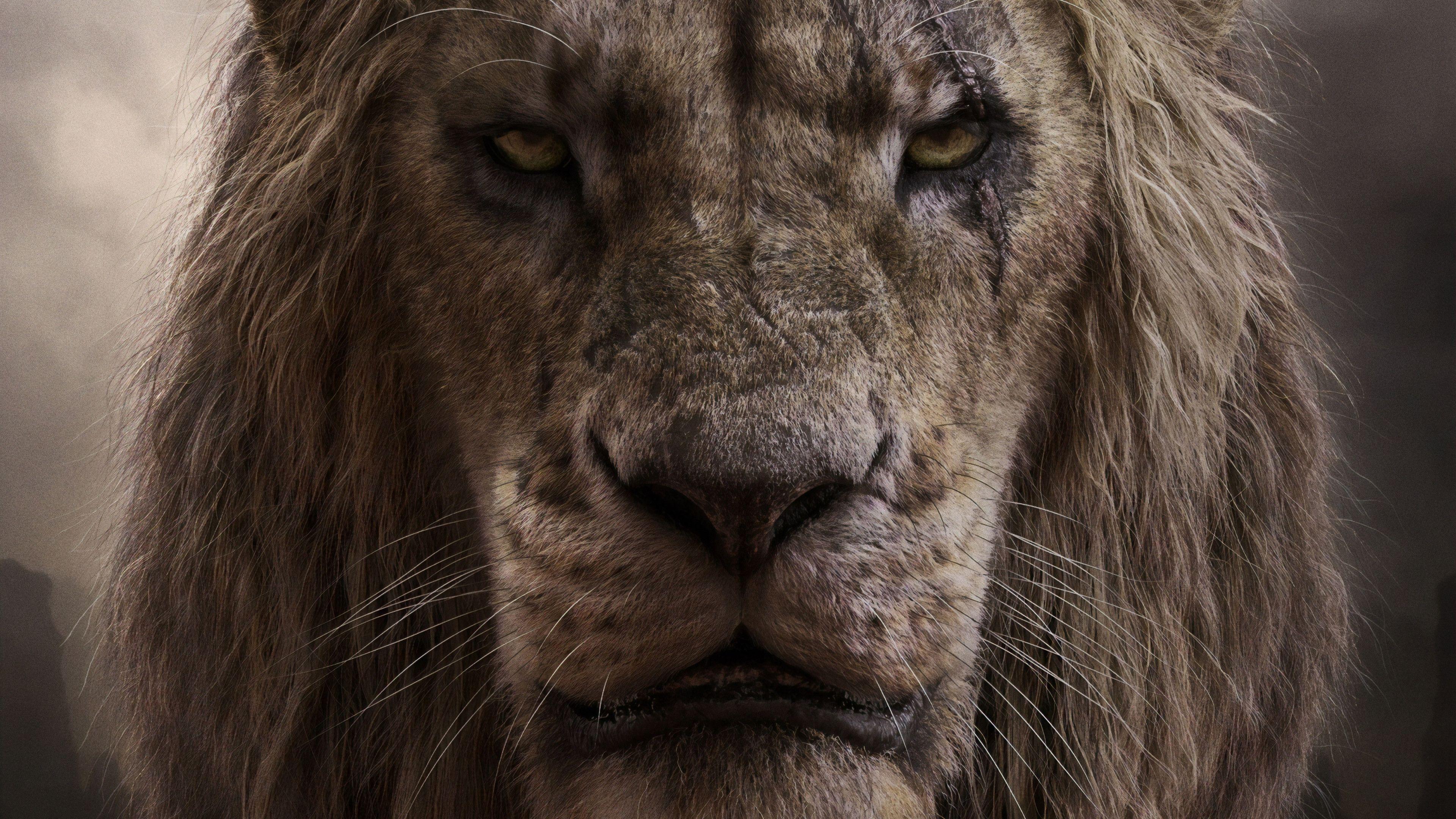 3840x2160 The Lion King 2019 Scar 4K Wallpaper