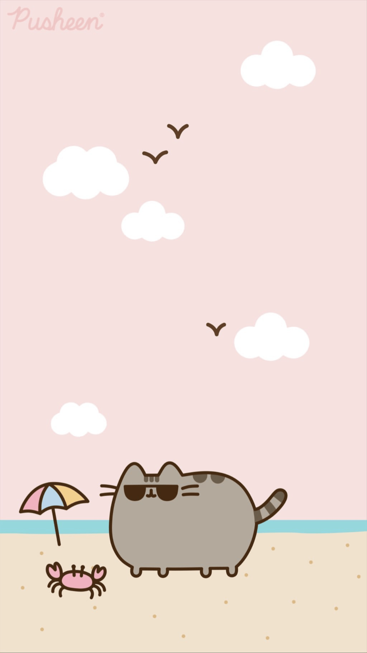 1242x2208 Pusheen cat iphone wallpaper summer .com