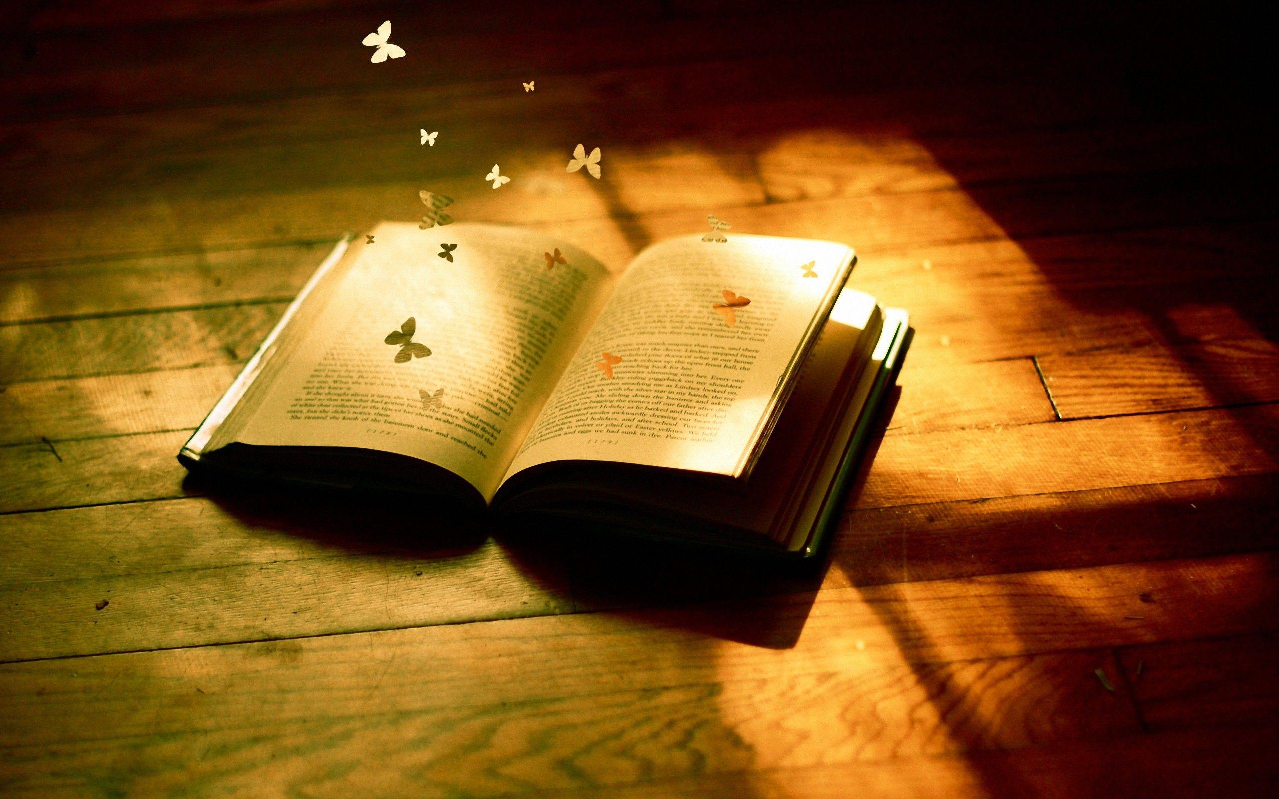 2560x1600 Cute Magic Book Widescreen Desktop Wallpaper